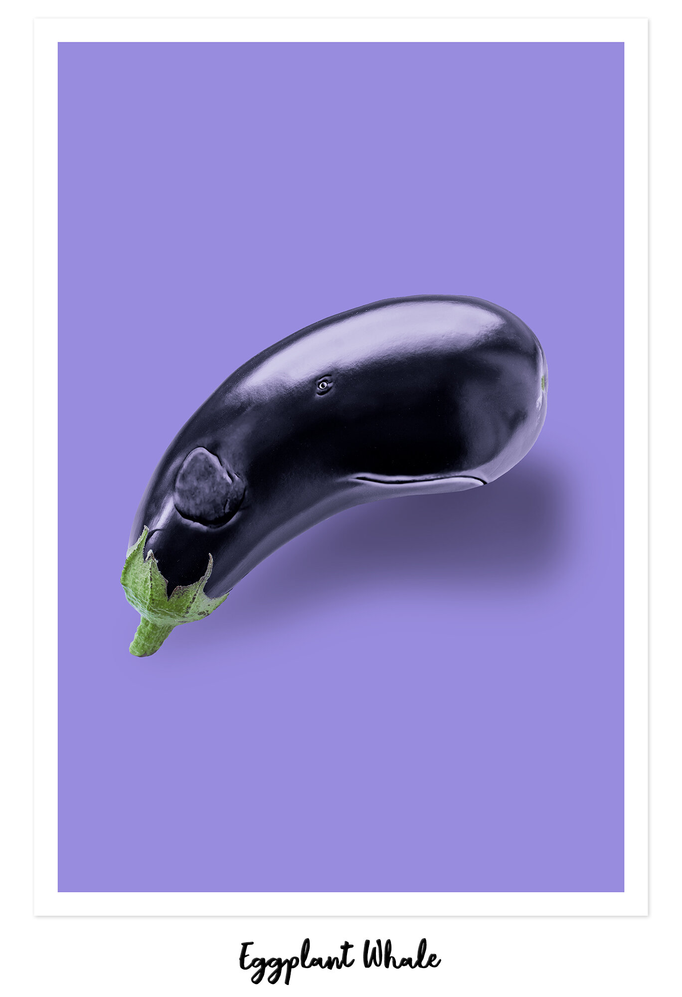 EGGPLANT_WHALE.jpg