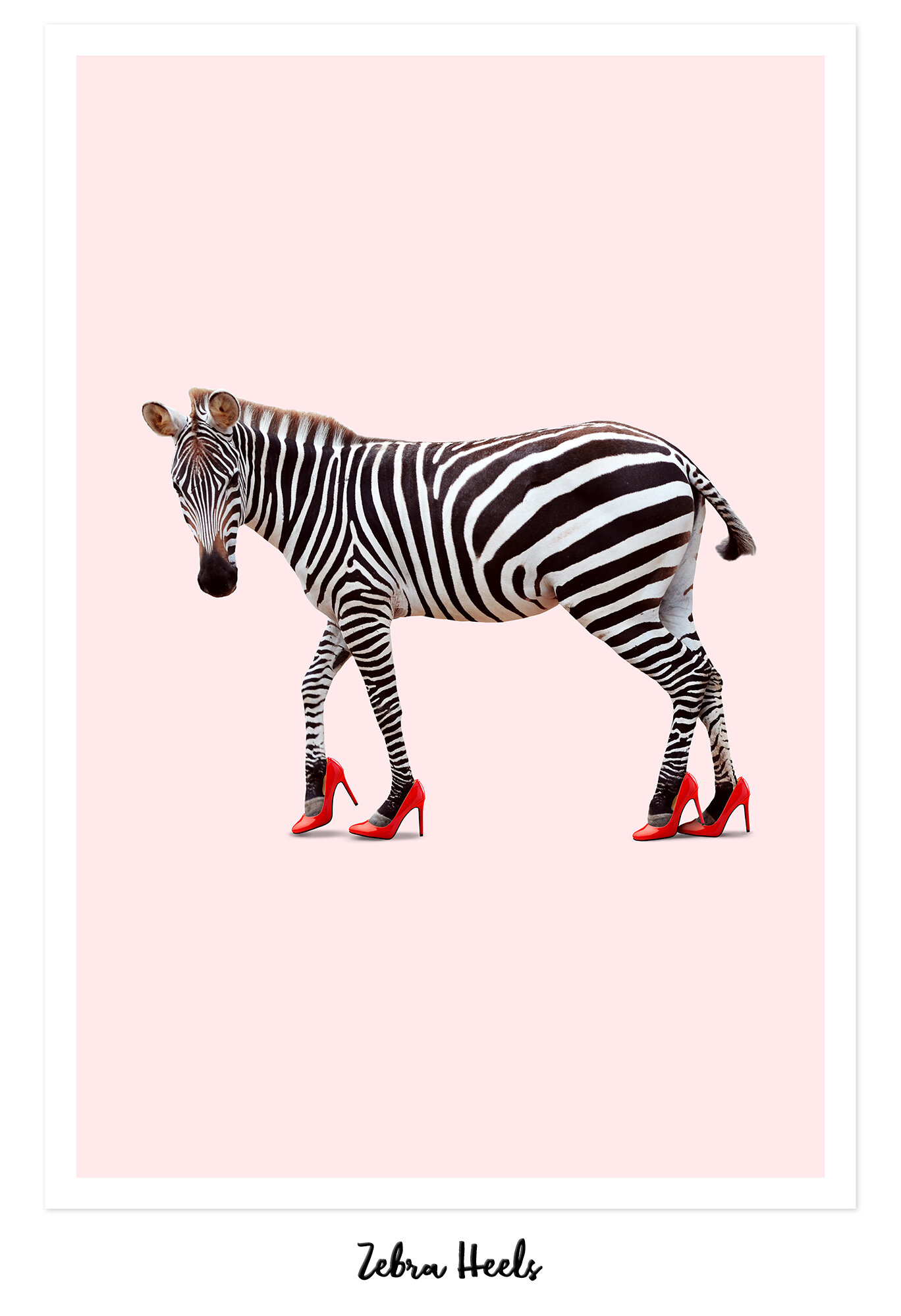 ZEBRA_HEELS_2.0.jpg