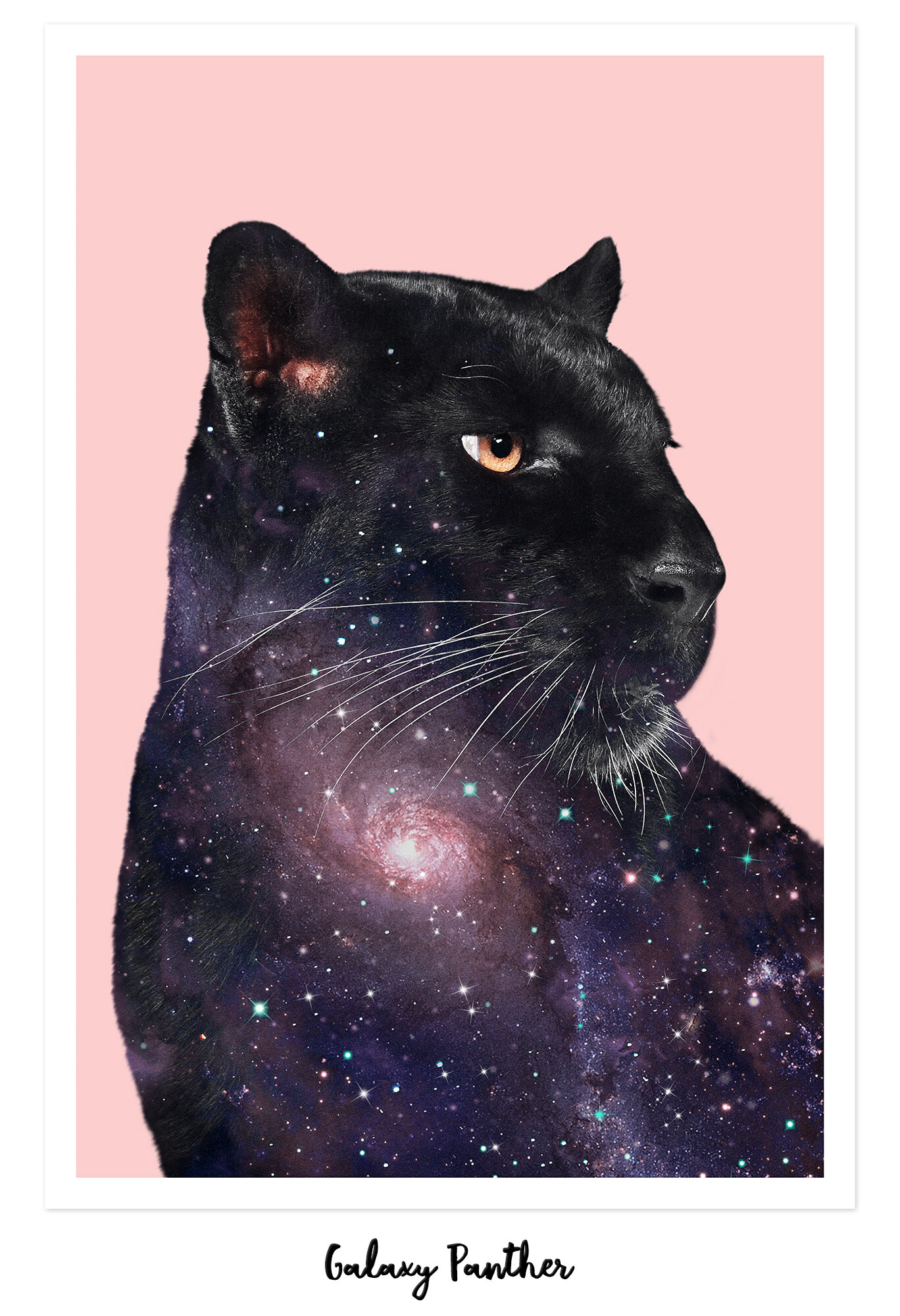 GALAXY_PANTHER.jpg