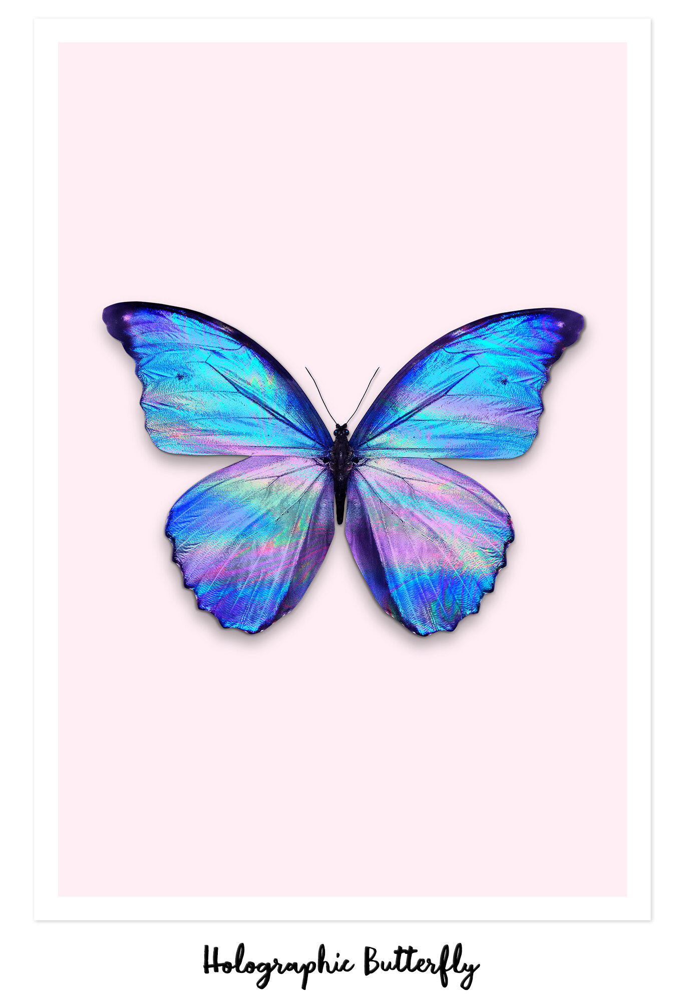 HOLOGRAPHIC_BUTTERFLY.jpg