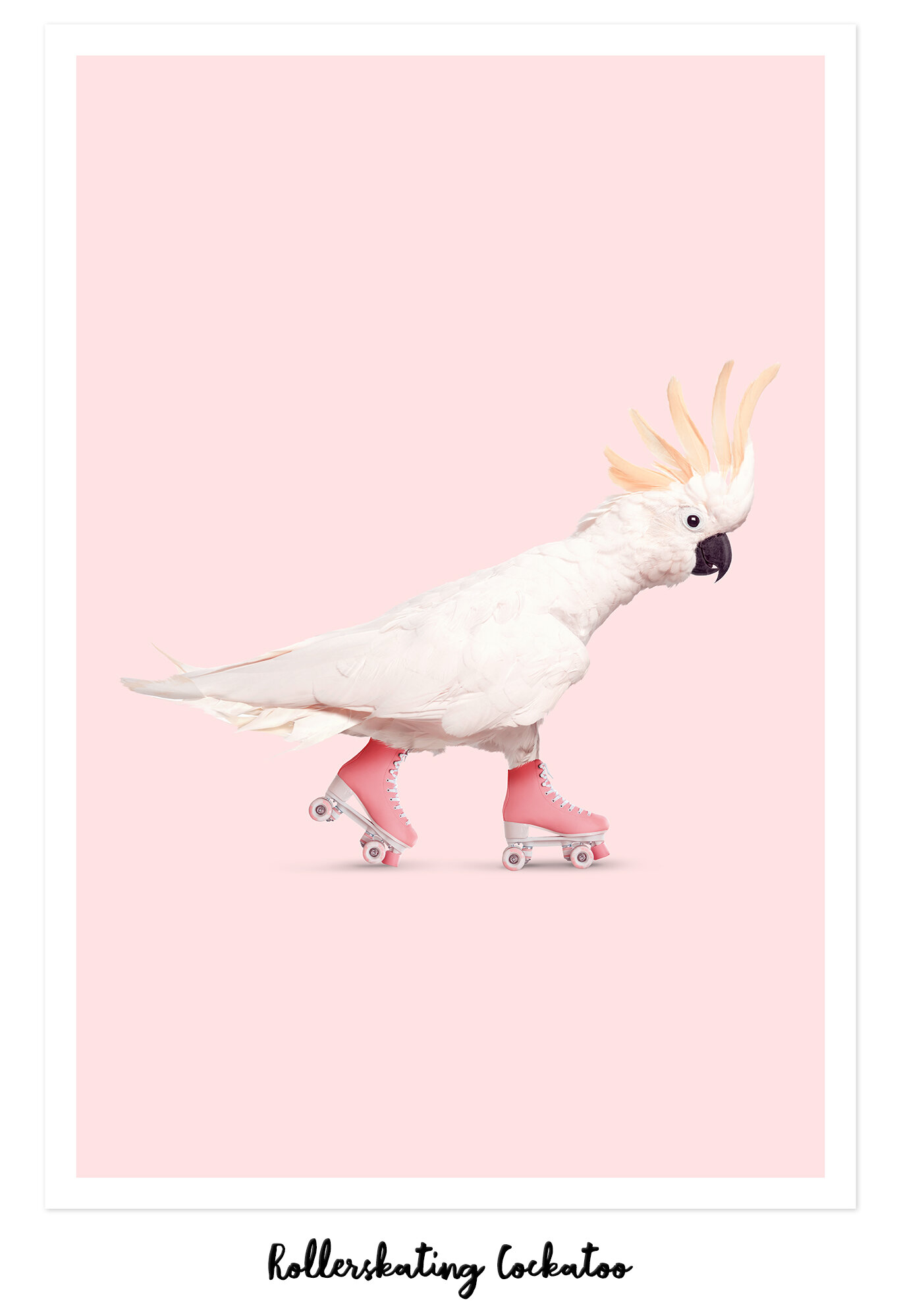 ROLLERSKATING_COCKATOO.jpg