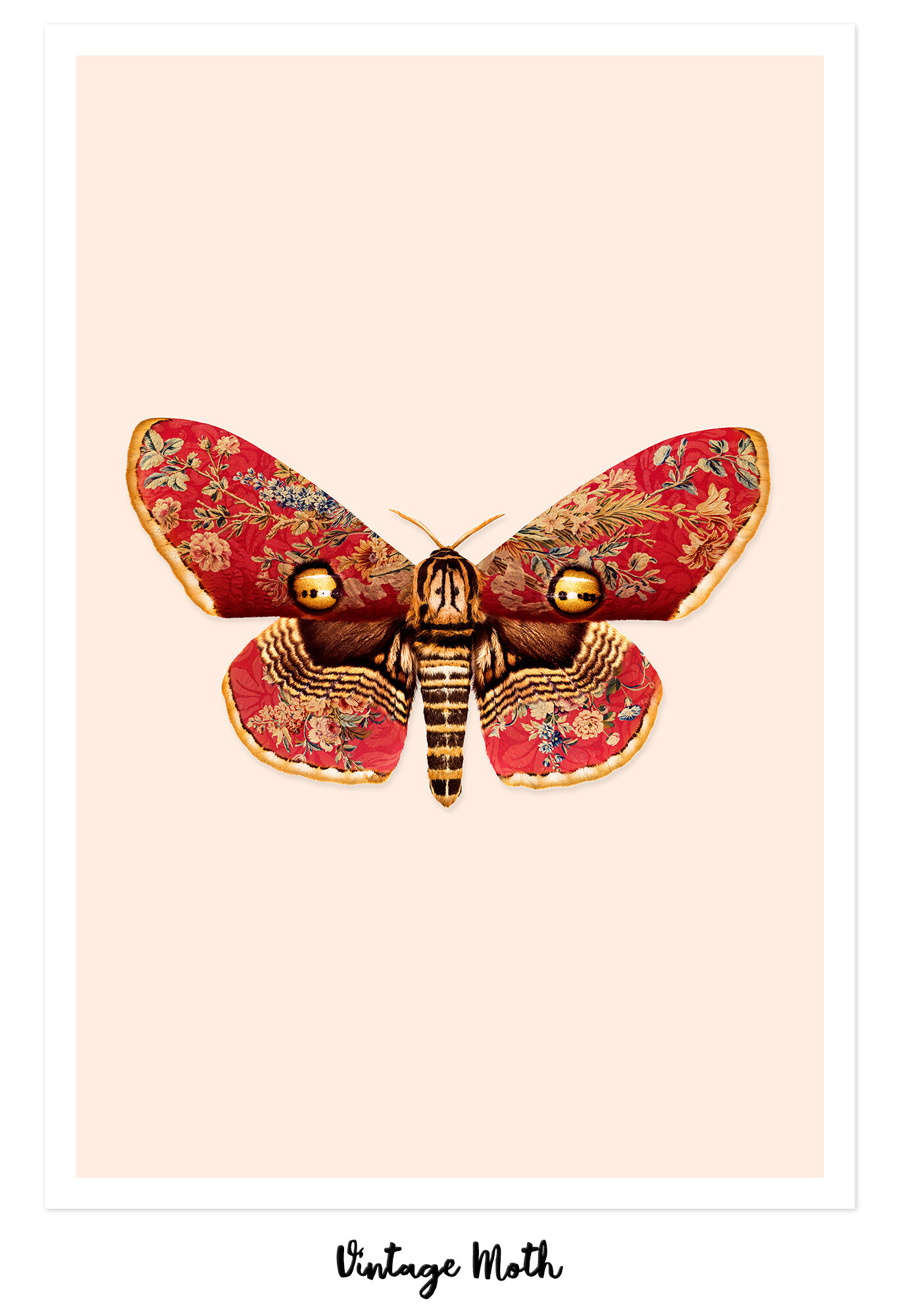 VINTAGE_MOTH.jpg