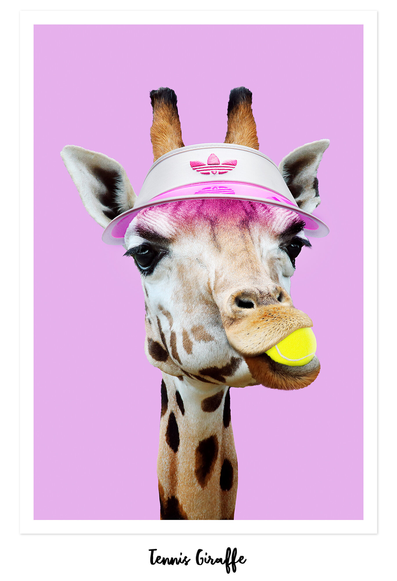 TENNIS_GIRAFFE_ARTWORK.jpg