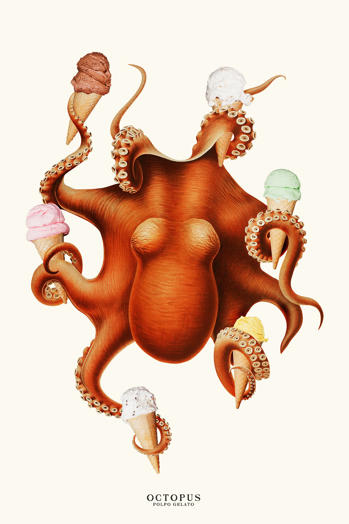 ICE_CREAM_OCTOPUS.jpg