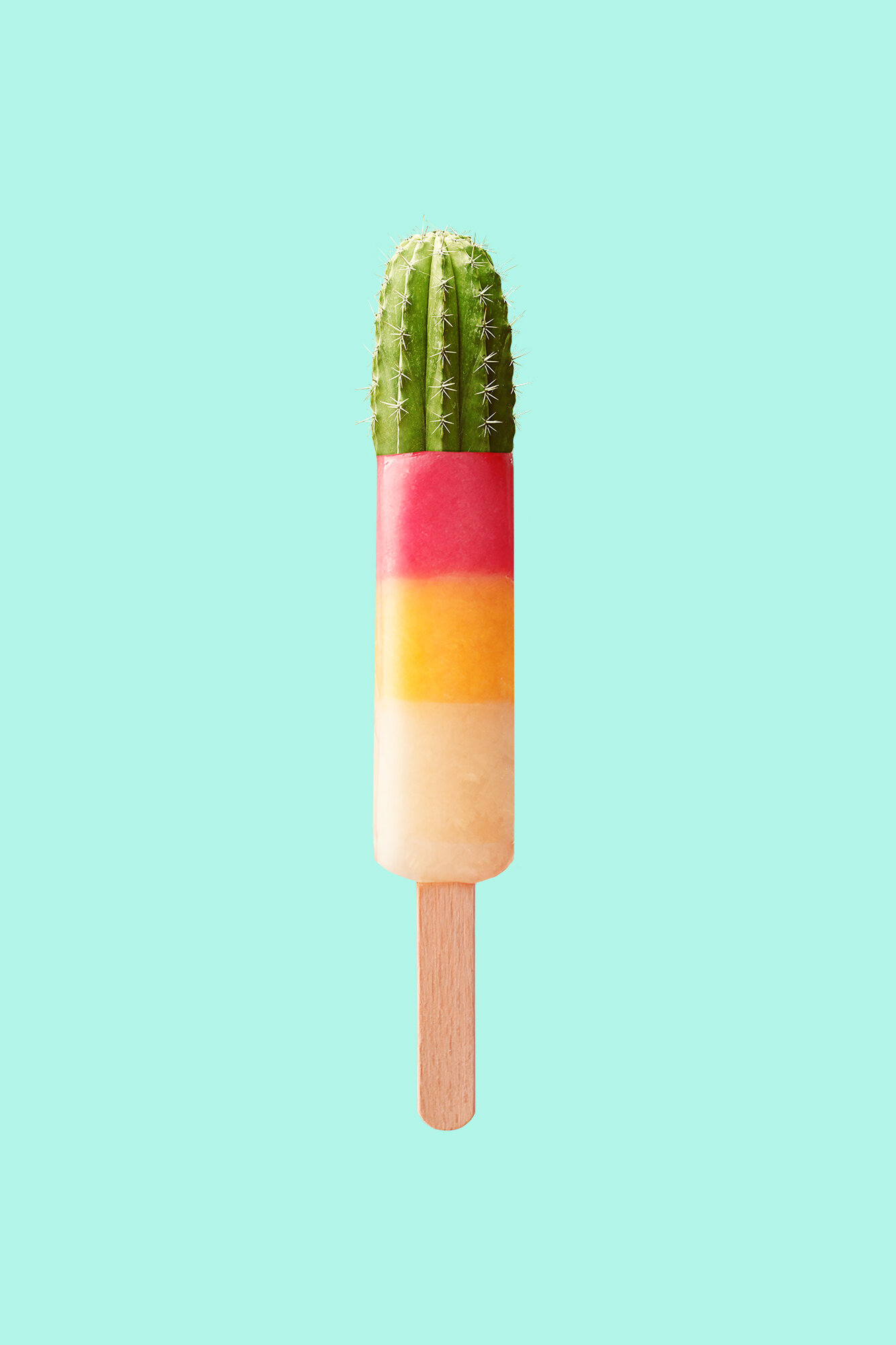 CACTUS_POPSICLE.jpg