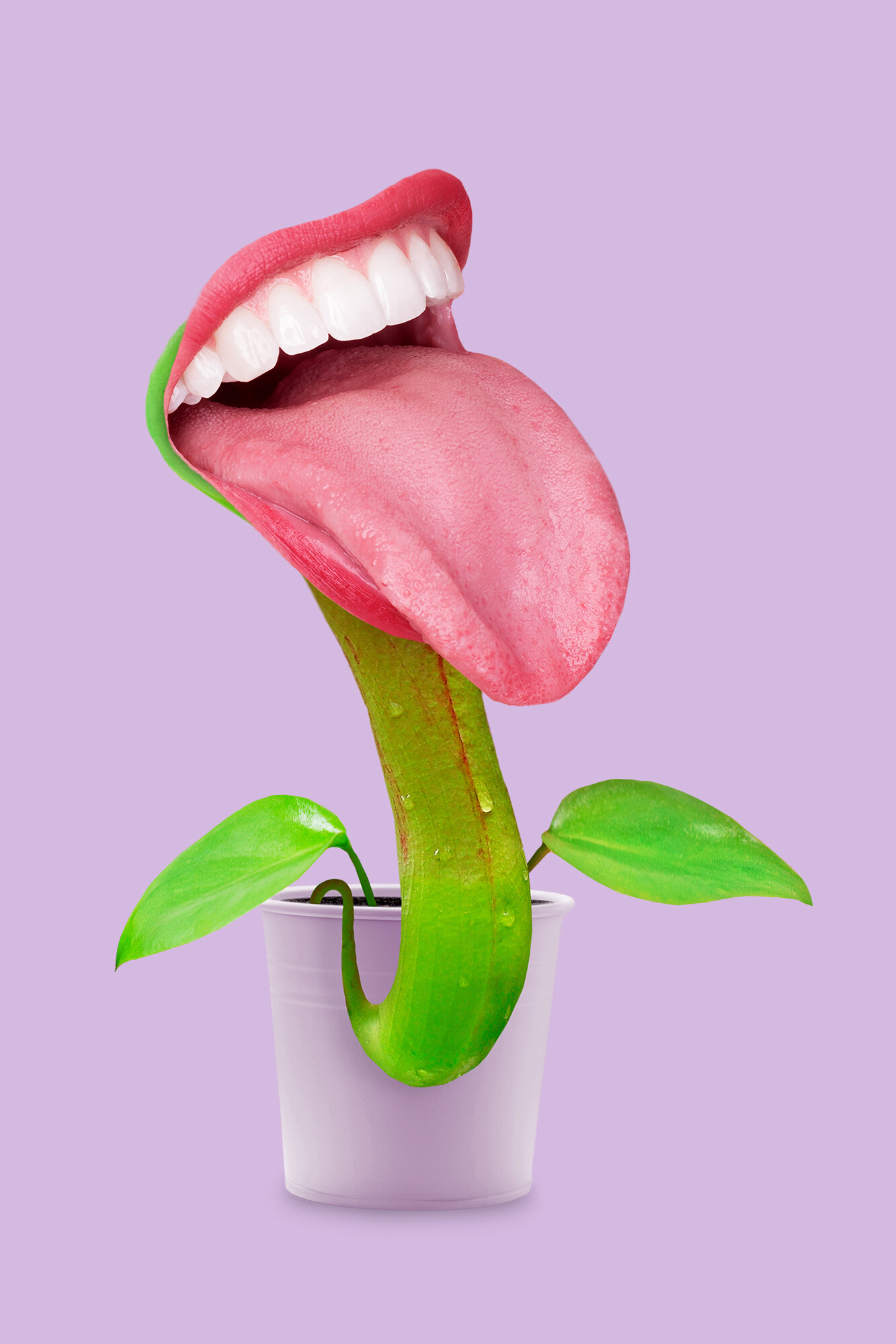 CARNIVOROUS_PLANT.jpg