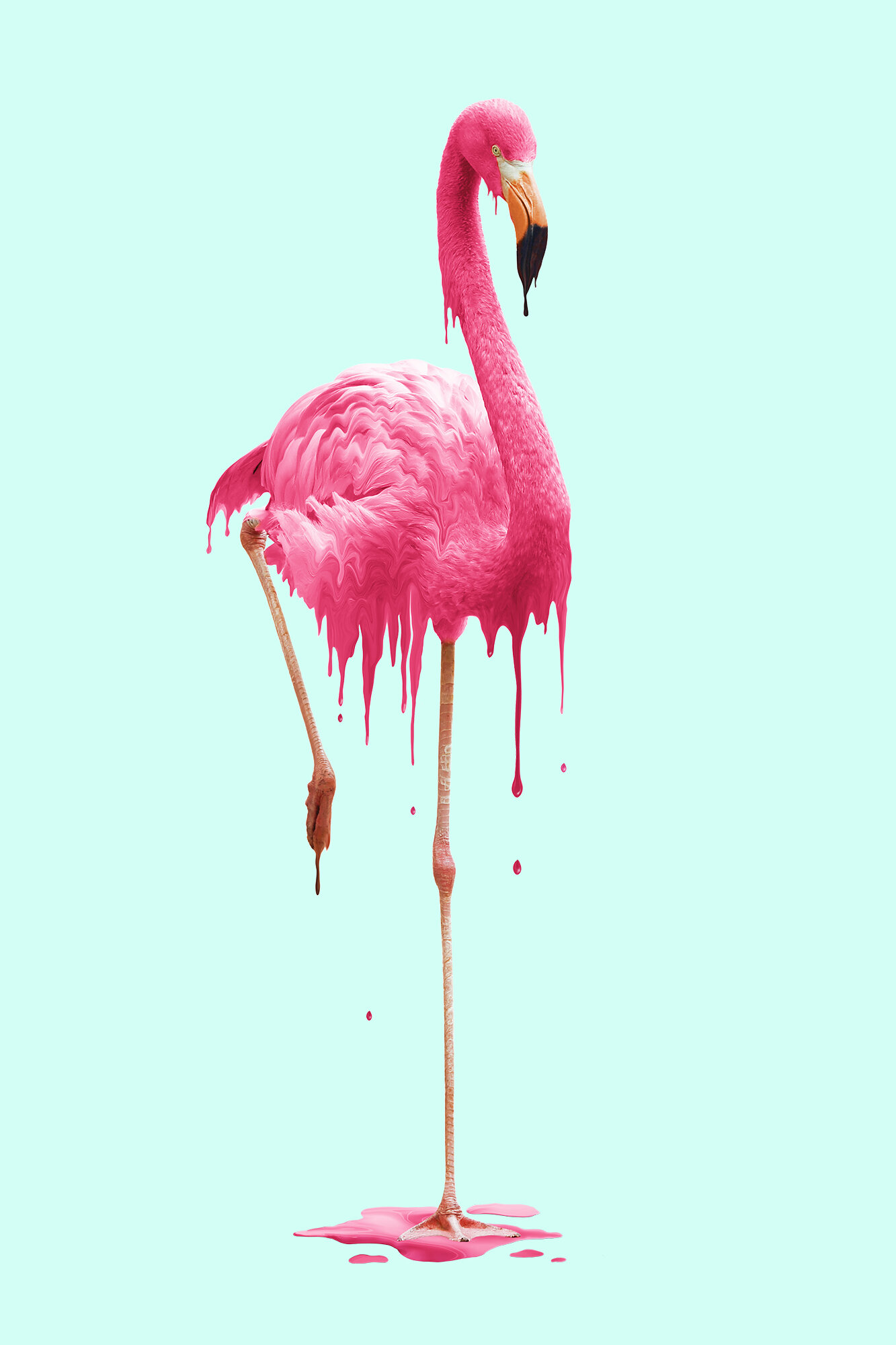 MELTING_FLAMINGO.jpg