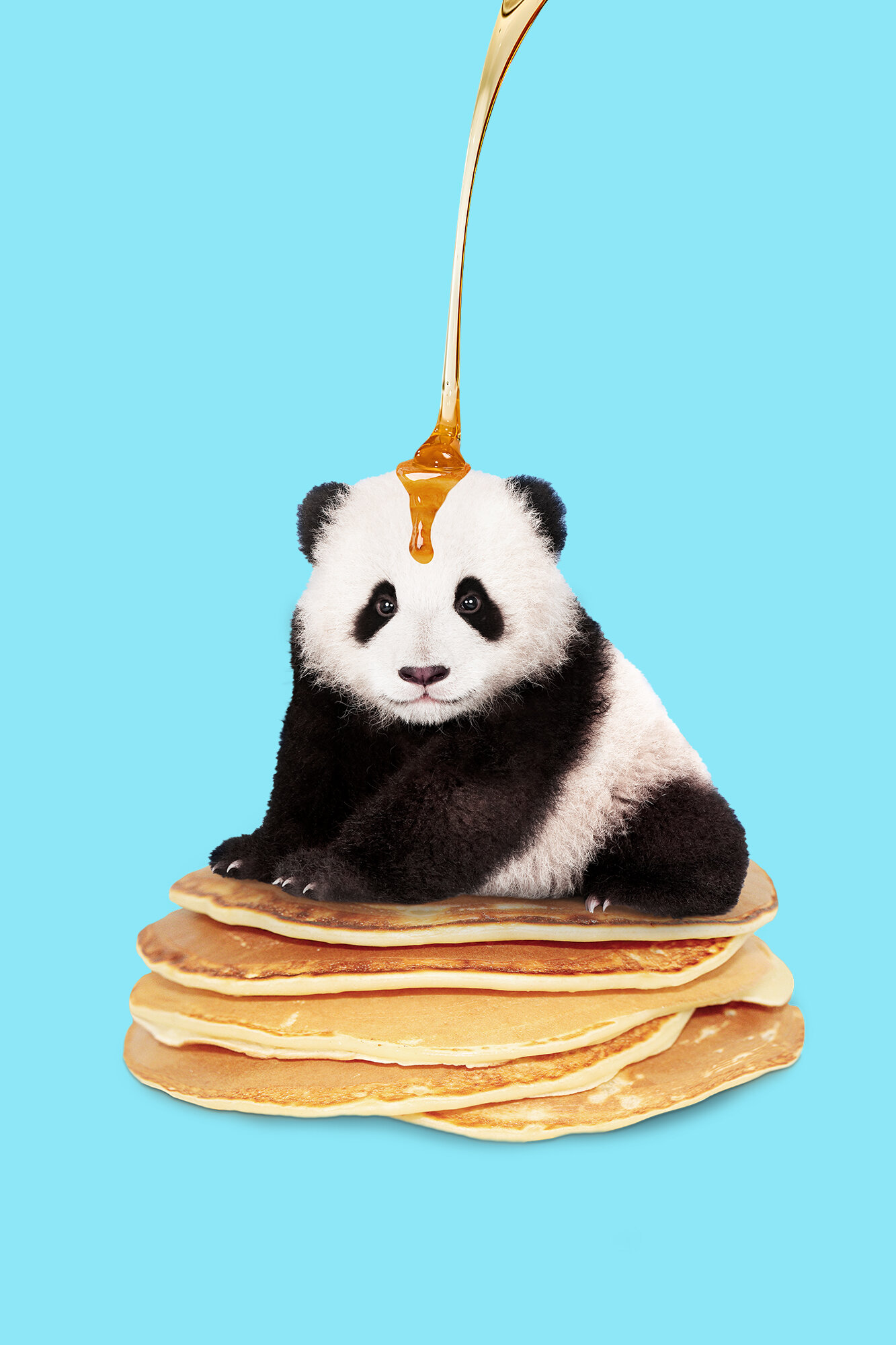 PANCAKE_PANDA.jpg