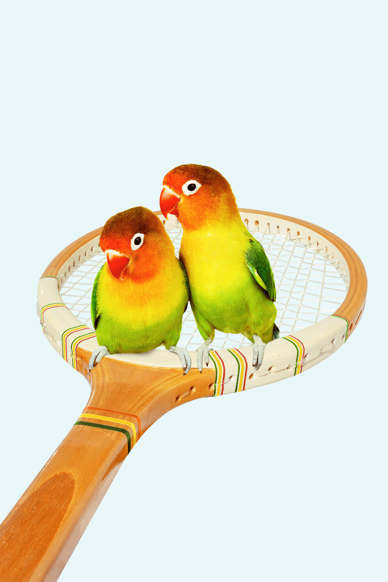 RETRO_BIRDS.jpg