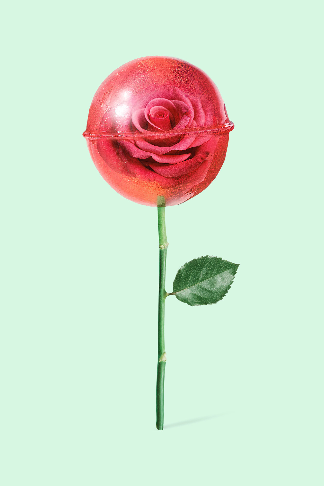 ROSE_LOLLIPOP.jpg