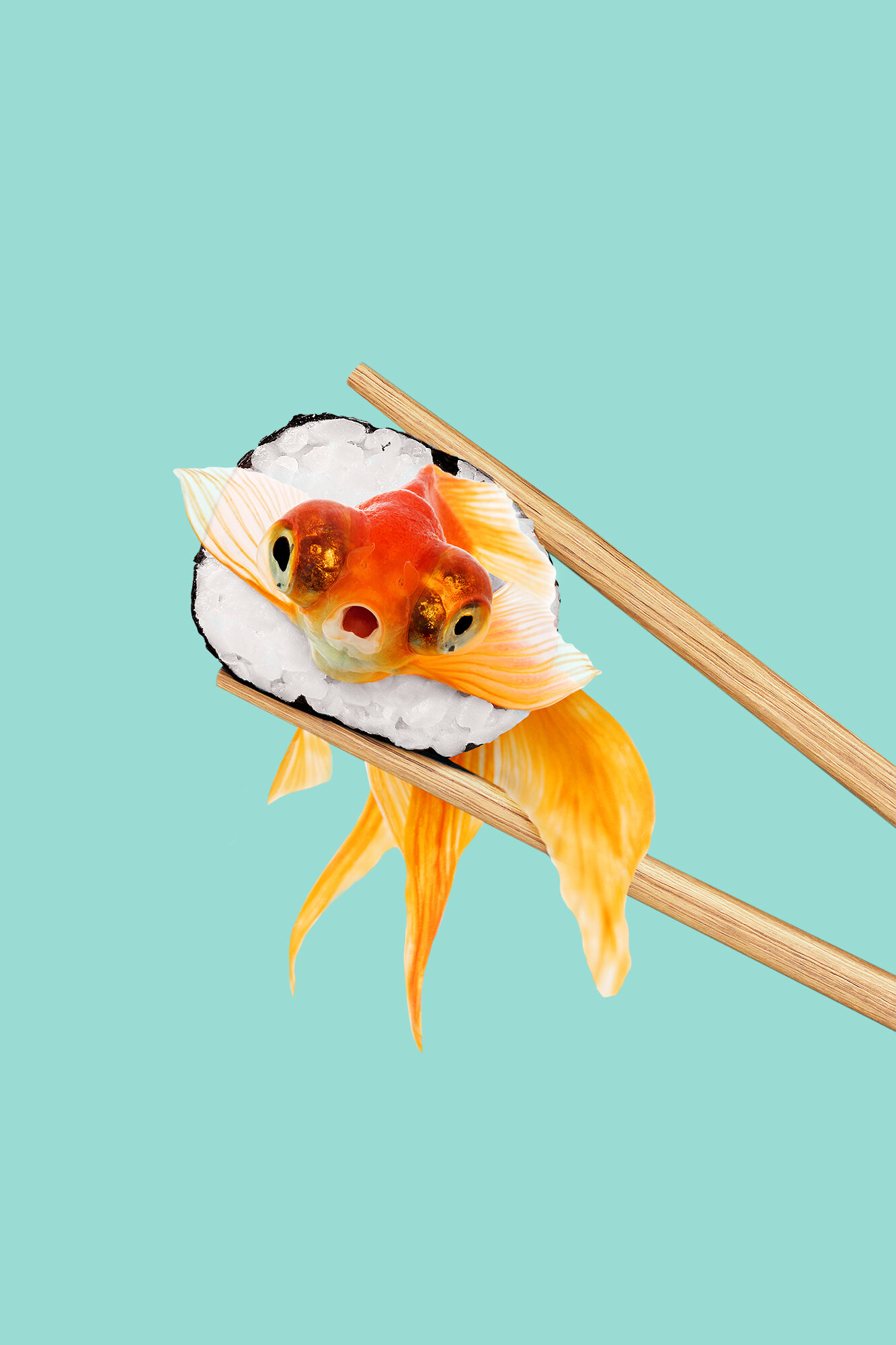 SUSHI_GOLDFISH.jpg