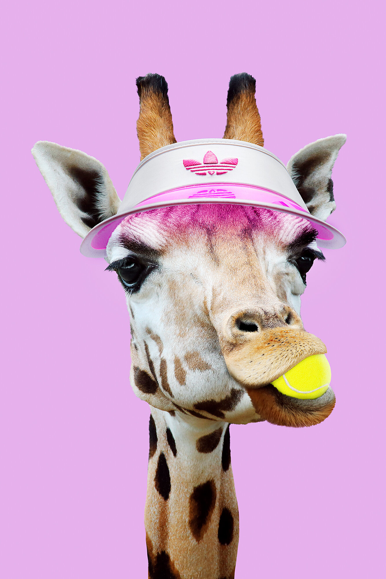 TENNIS_GIRAFFE_ARTWORK.jpg