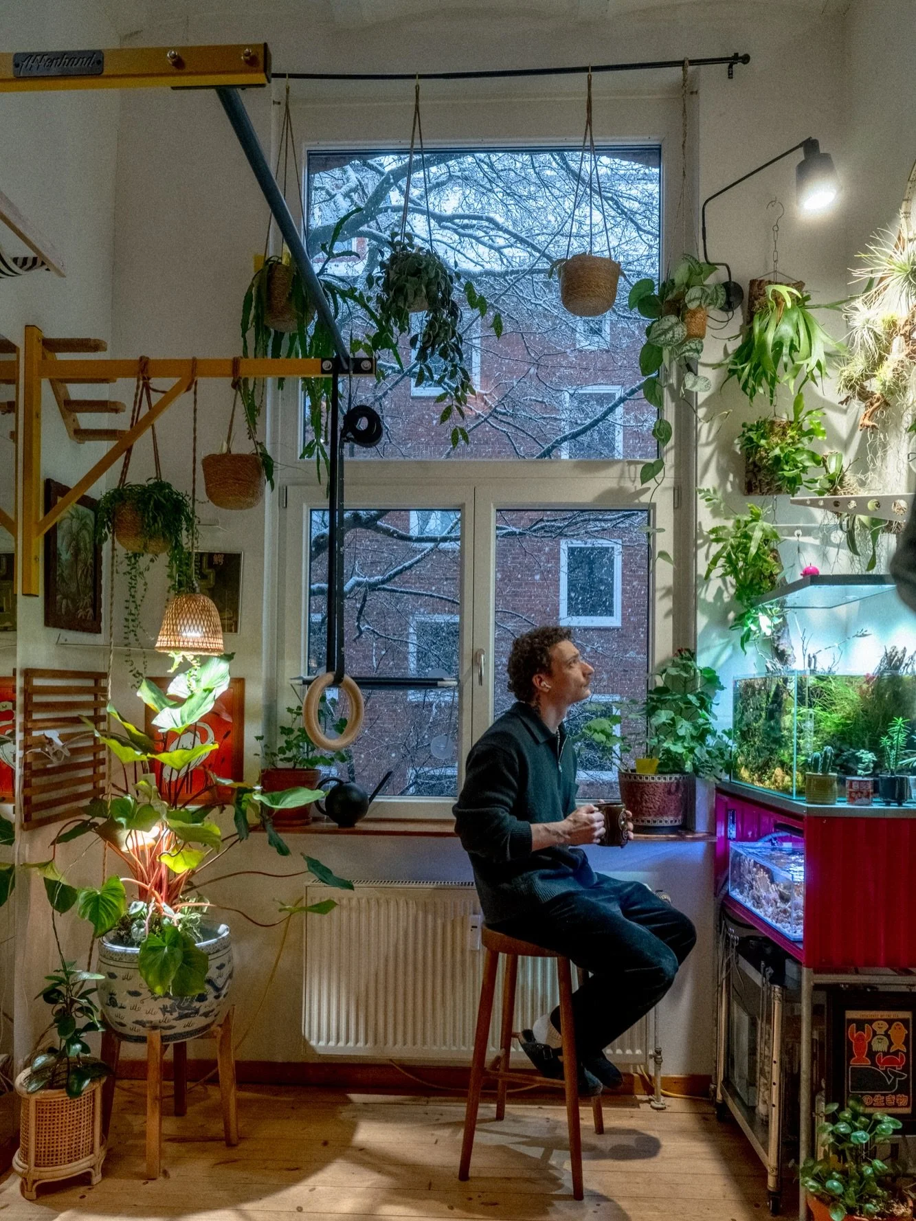 A snowy weekend here in Hamburg ❄️
Even more reason to slow down and enjoy the warmth of our little indoor jungle 🌿
While it&rsquo;s cold and quiet outside, everything feels alive, green, and calm at home.

#indoorjungle #cozyliving #winterathome #h