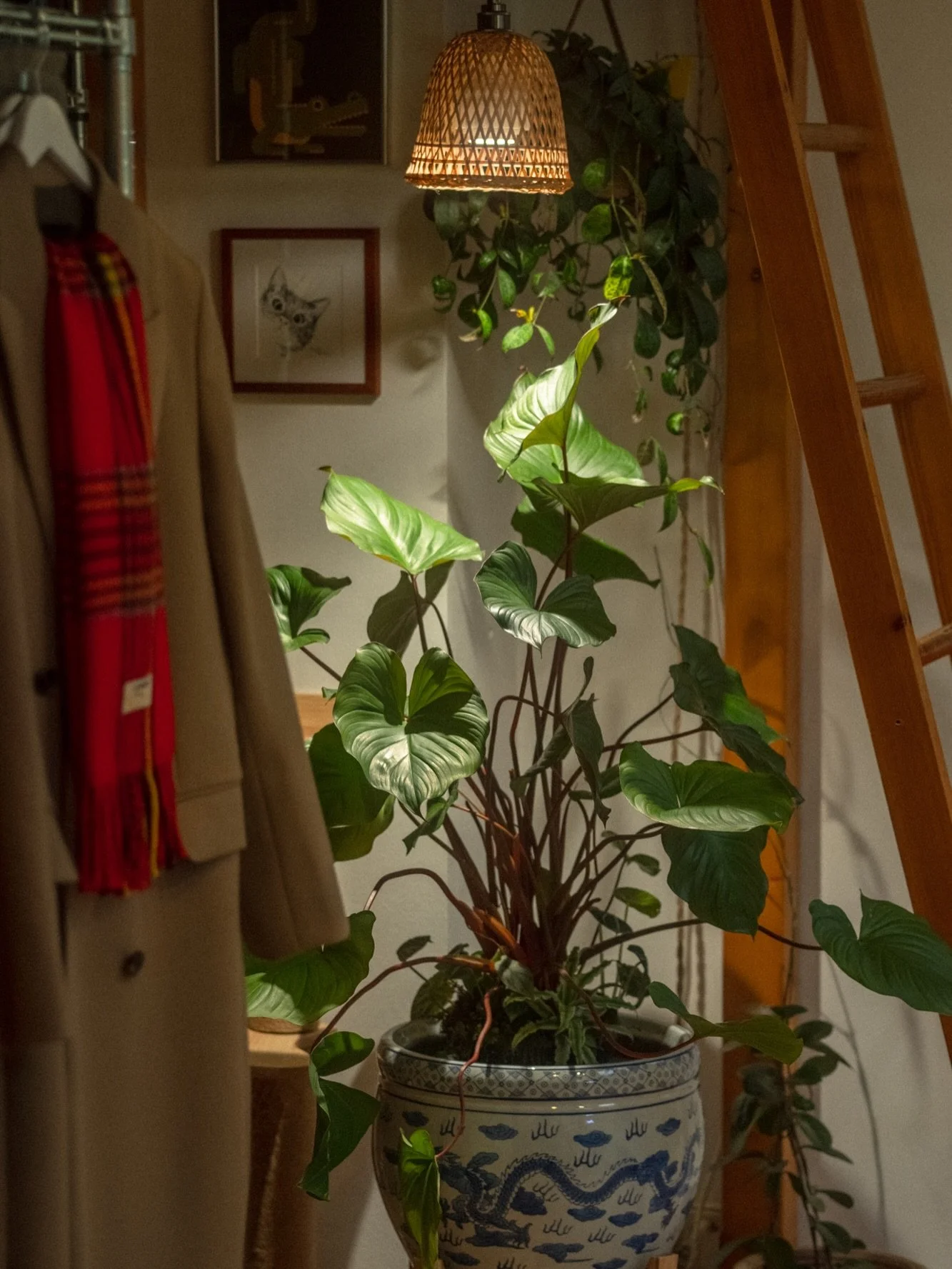 Weekend reset. 💚🌿
We moved our indoor pond to a new spot and changed a lot in our home layout &mdash; and Vildana gave our hobby room shelf a full glow up.

Exciting changes are coming&hellip; more soon.

#hausofgruen #indoorpond #pondlife #indoorg