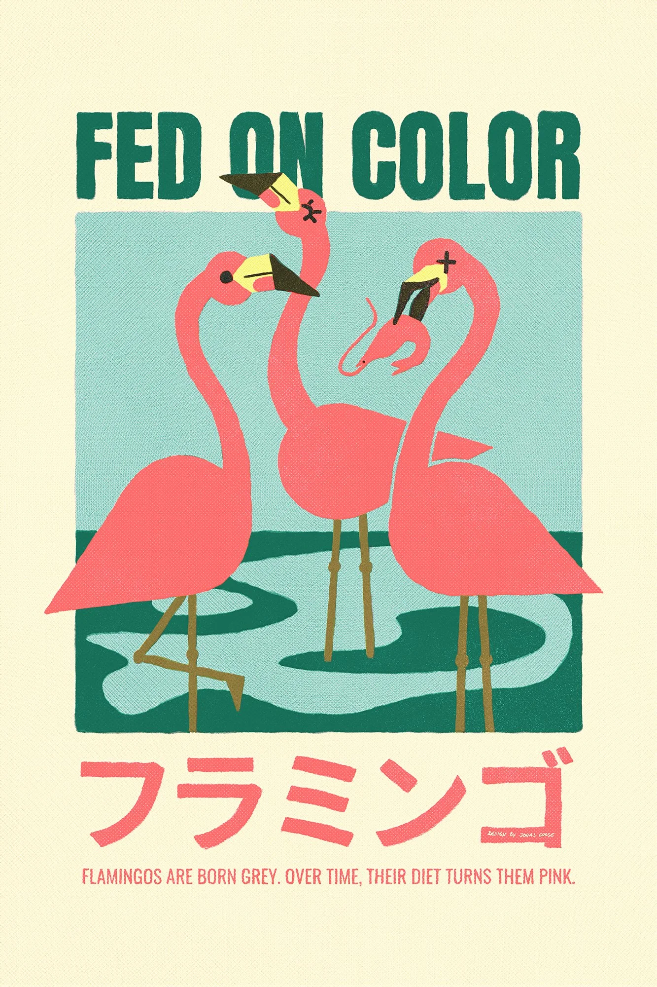 Fed On Color copy.jpg