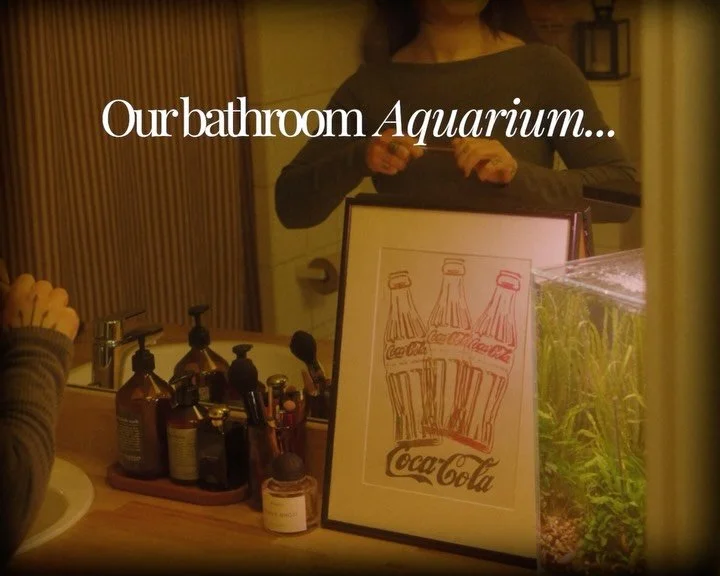 Our bathroom has no window and no plants, but now we start and end every day with this tiny ecosystem full of life. Watching shrimp, plants, and snails has become a small daily ritual that helps us slow down and reset.

We got inspired by the beautif