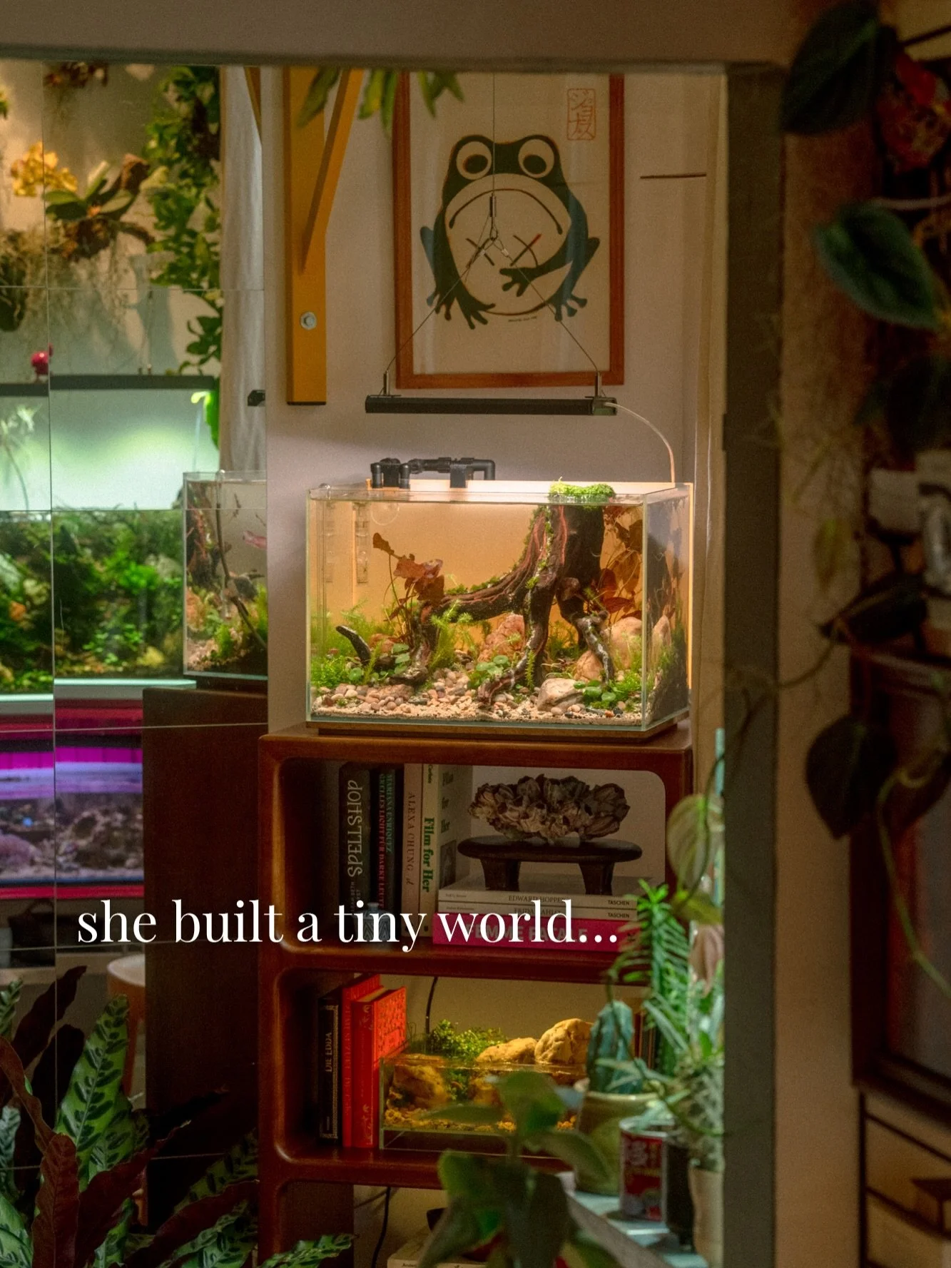 A tiny world in the making 🌿🧚&zwj;♀️
Vildana&rsquo;s &ldquo;fairy pond&rdquo; is still at the very beginning&hellip; but you can already feel where it&rsquo;s going.

And honestly, we need more women in aquascaping 💚

Even Mocca seems convinced 🐾