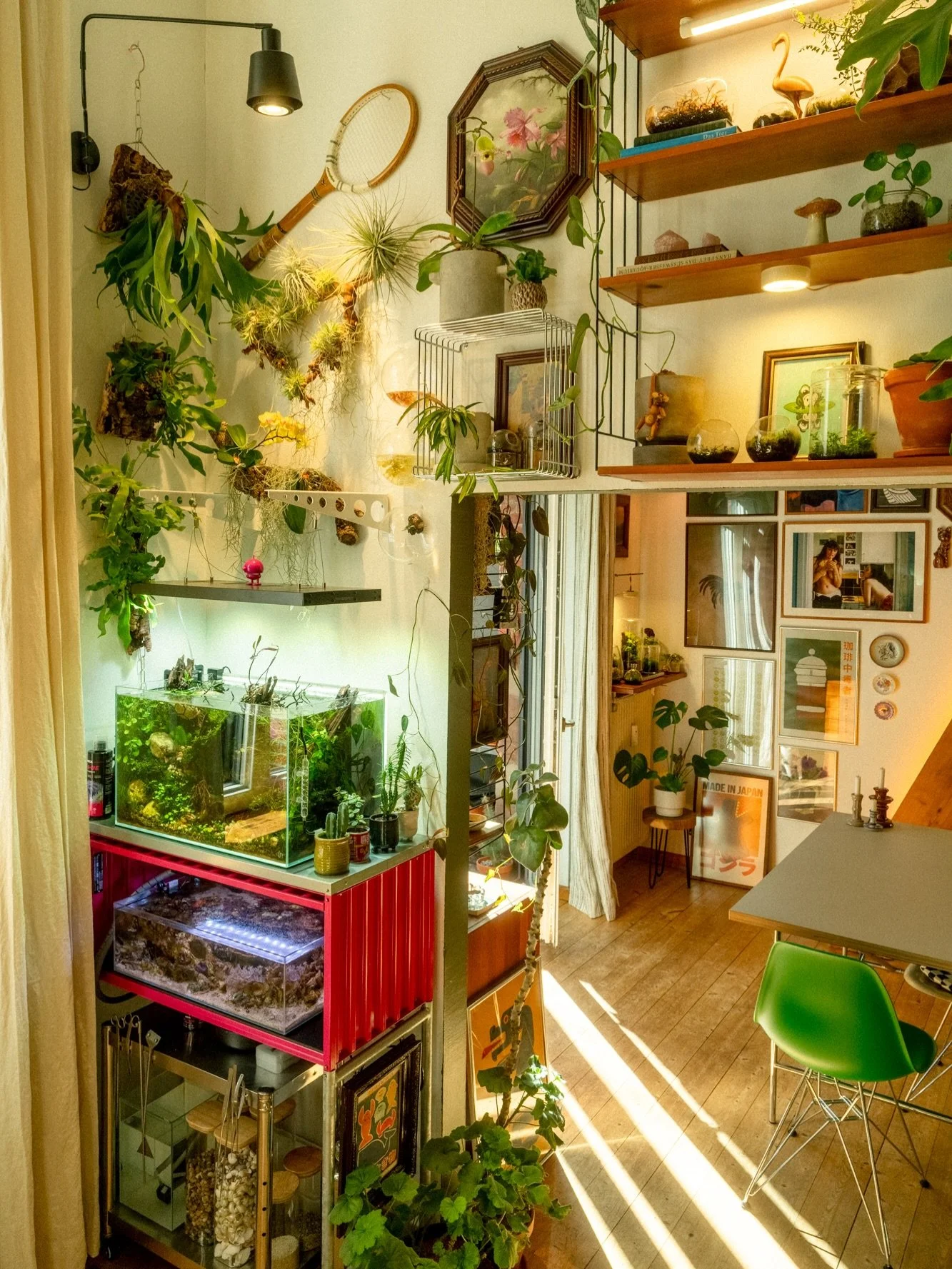 The sun finally reaches our apartment again this time of year 🌞
for a few hours, everything is painted in a soft, warm light.

#springlight #natureathome #sunlitspaces #cozyhome #interiorforinspo