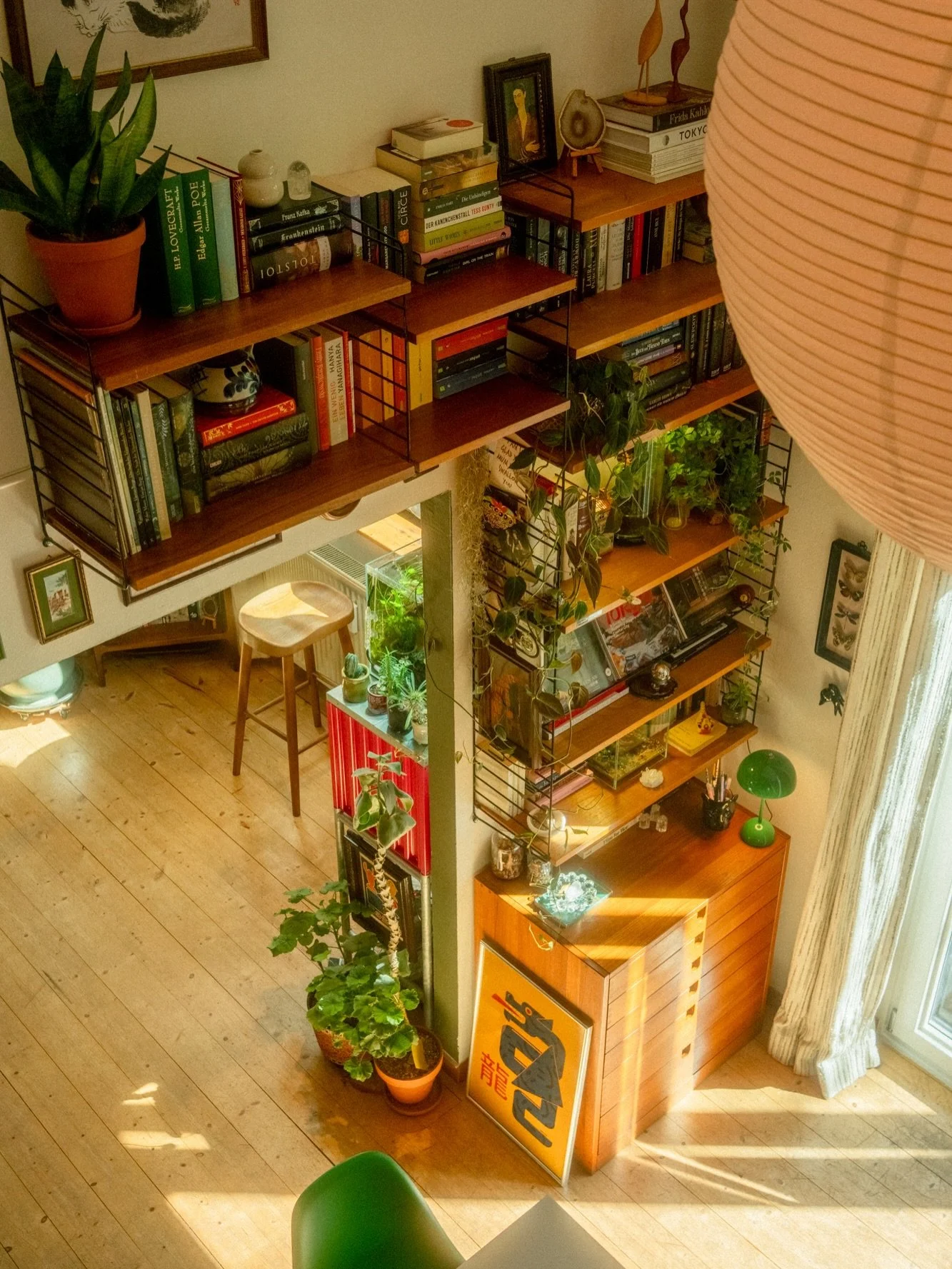 Our little sanctuary from above 🌿 a quiet space in the middle of the city, filled with plants, light, and all the small things that make a space feel like home.

#LoftLiving #UrbanJungleHome #LivingWithNature #CozyInteriorStyle #interiorinspo