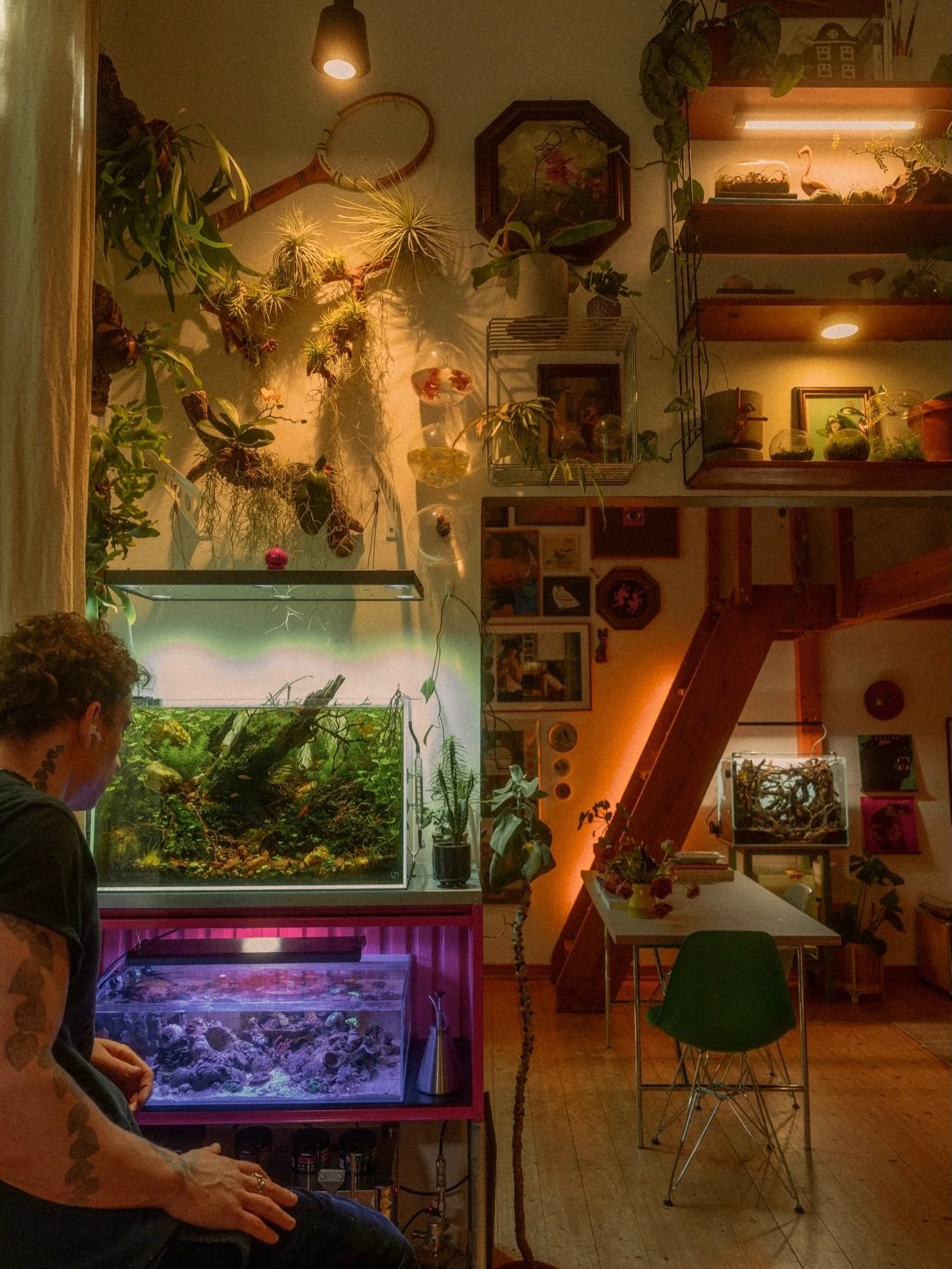 After months of work, countless little adjustments, plant trims, and waiting for nature to do its thing, I finally captured the final shot of our freshwater aquarium🐟🌿

Many of you have been asking about this project for quite some time, and now th