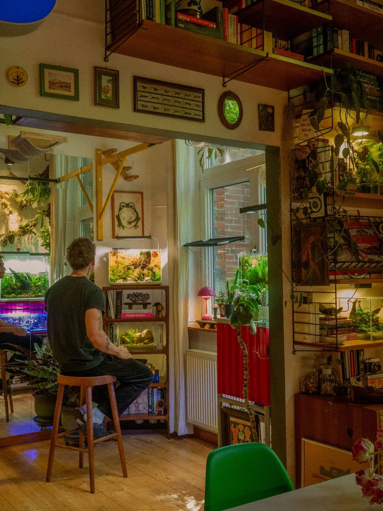 We&rsquo;ve slowly built a world we love to live in.

A place filled with plants, tiny ecosystems, curious cats, and little reminders to slow down. Every aquarium, terrarium, piece of art, and cozy corner tells part of the story.

It didn&rsquo;t hap