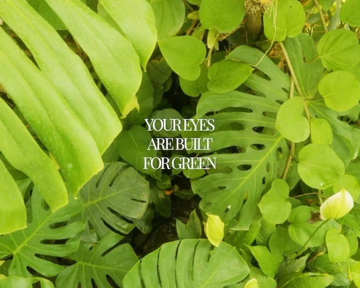 I&rsquo;ve been thinking about how little green most of us actually see in everyday life.

We surround ourselves with concrete, screens and interiors, while our eyes are incredibly sensitive to green.

Maybe that&rsquo;s one more reason to make space