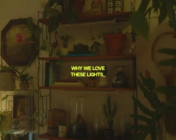 The right light makes such a difference 🌿💡 
We use the Soltech Grove grow lights on our shelves because they give our plants the light they need without taking away from the cozy feeling of our home. Warm, dimmable, super slim, and with a timer tha