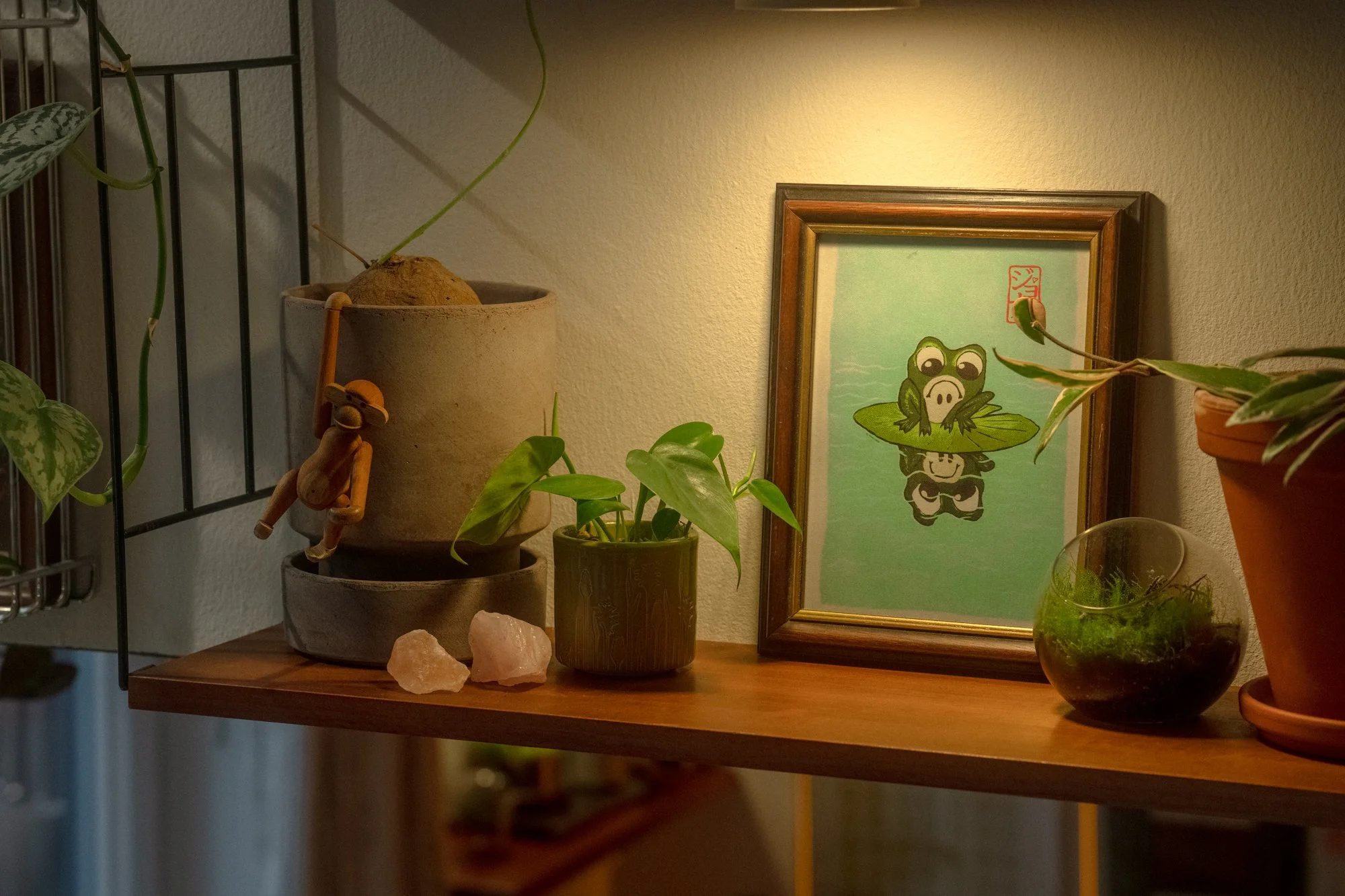A wooden shelf with various plants, rocks, and a framed illustration of a cartoon frog and pig sitting on a lily pad, with a small hanging wooden doll.