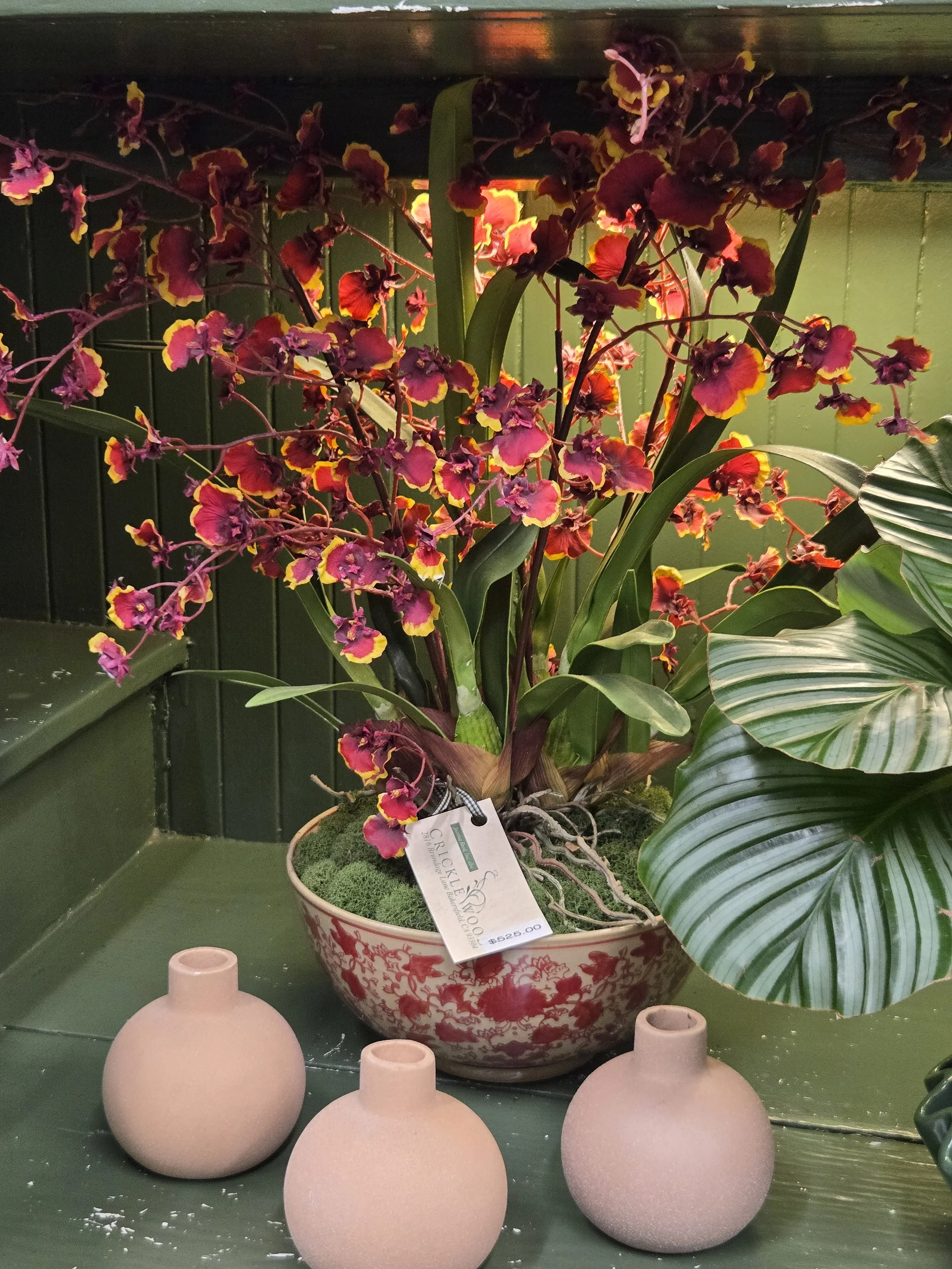 Exotic Fire Orchid Ceramic Arrangement