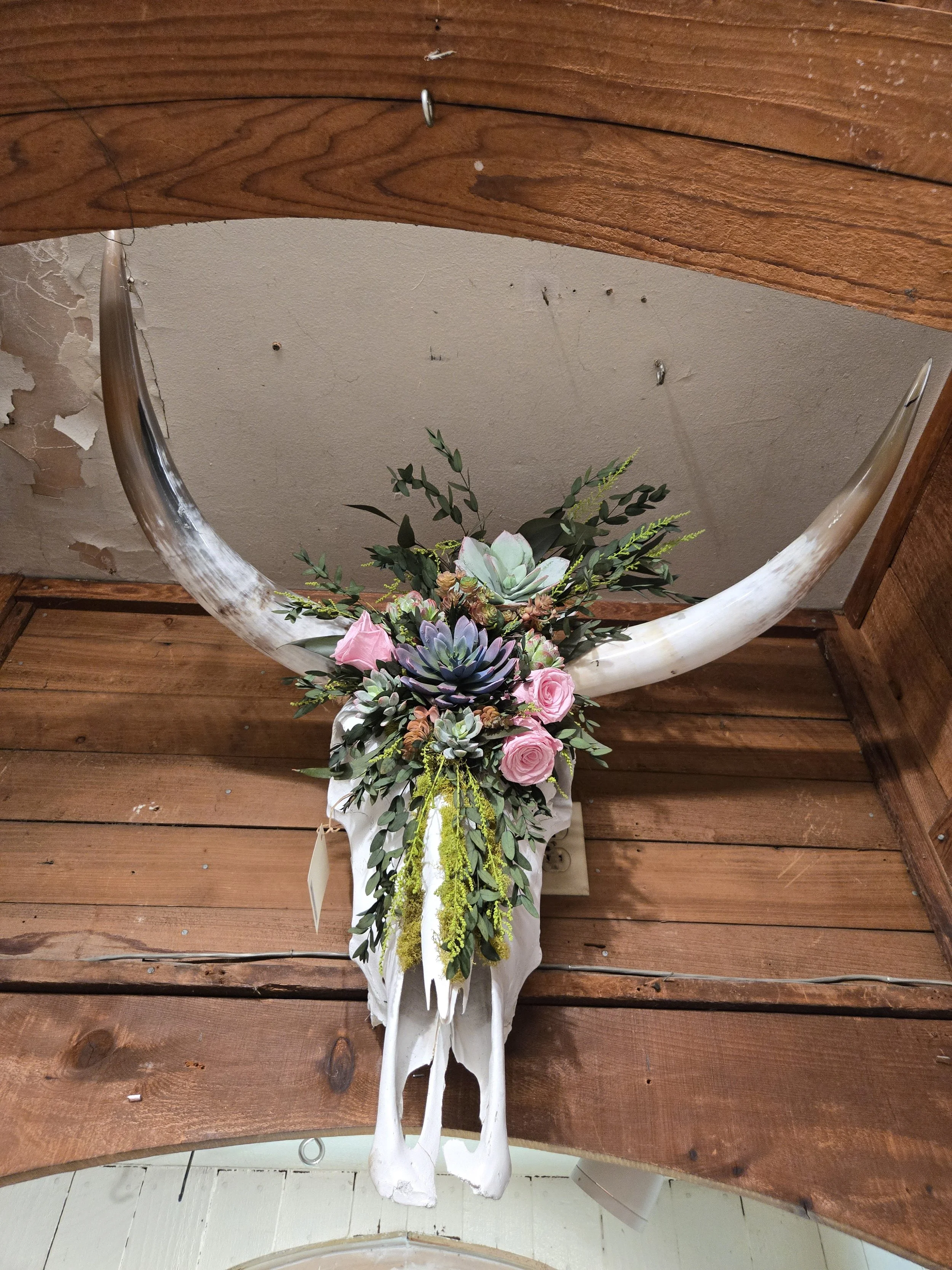 Desert Blossom Longhorn