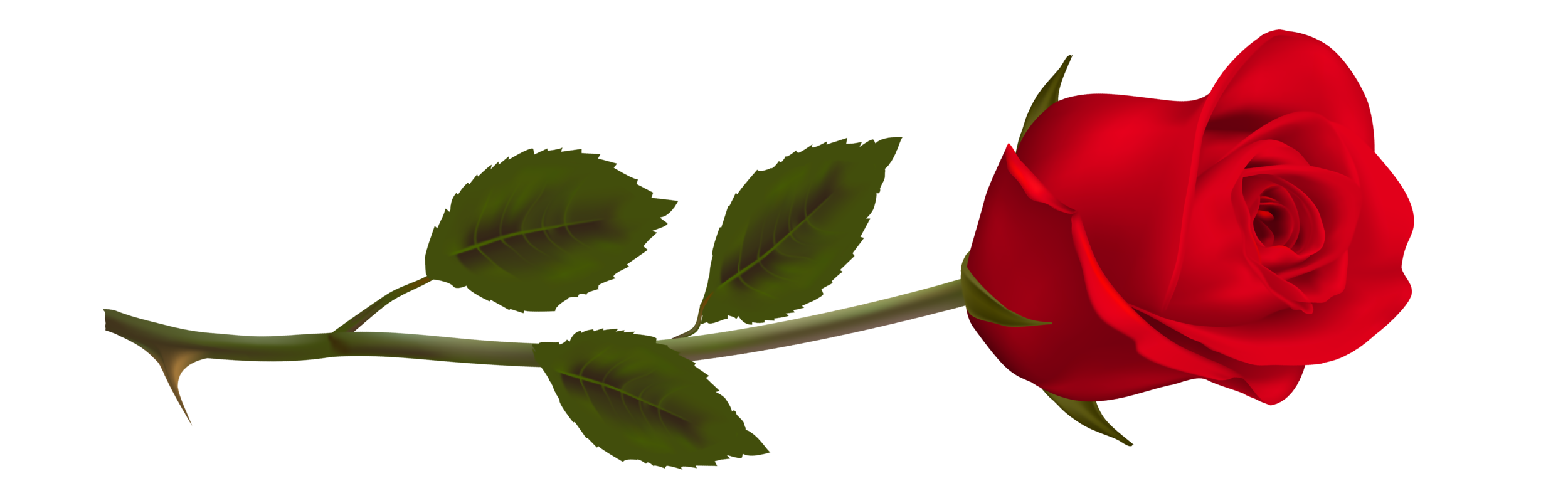 RedRose.png