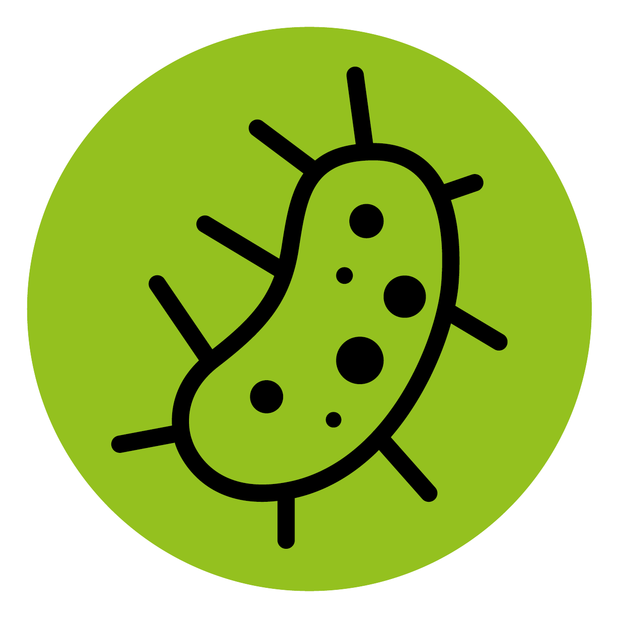 bacteria.png
