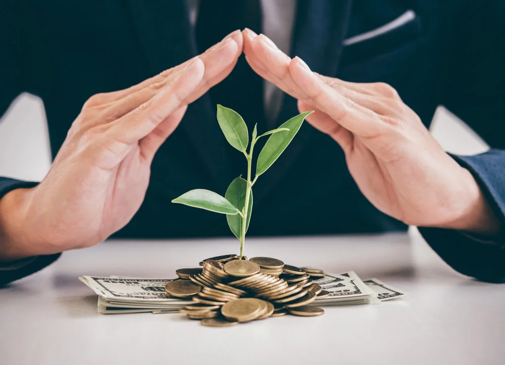 How to sustainably grow your wealth!