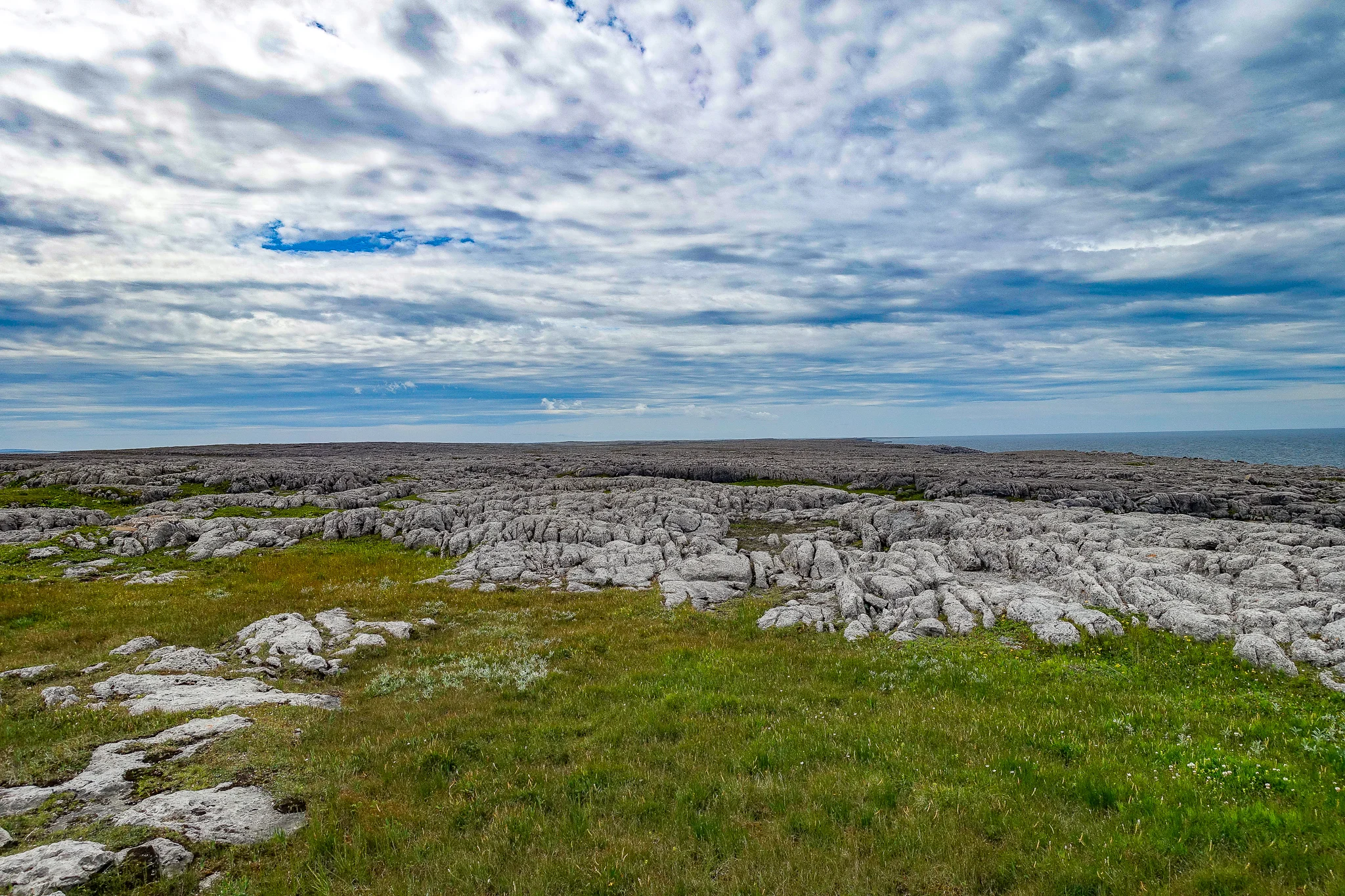LIMESTONE BARREN, WILD BIGHT.