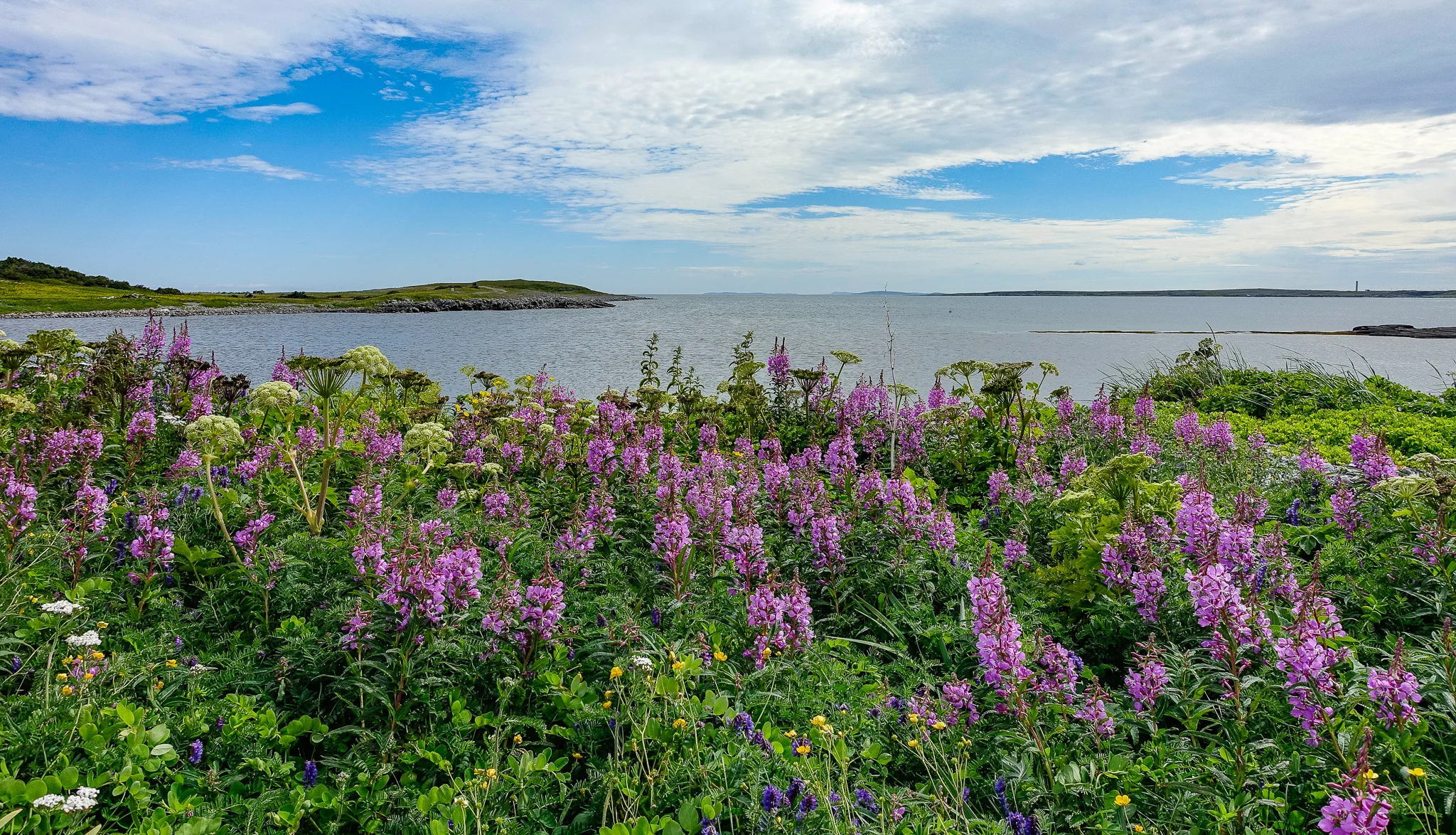 COOK’S HARBOUR.