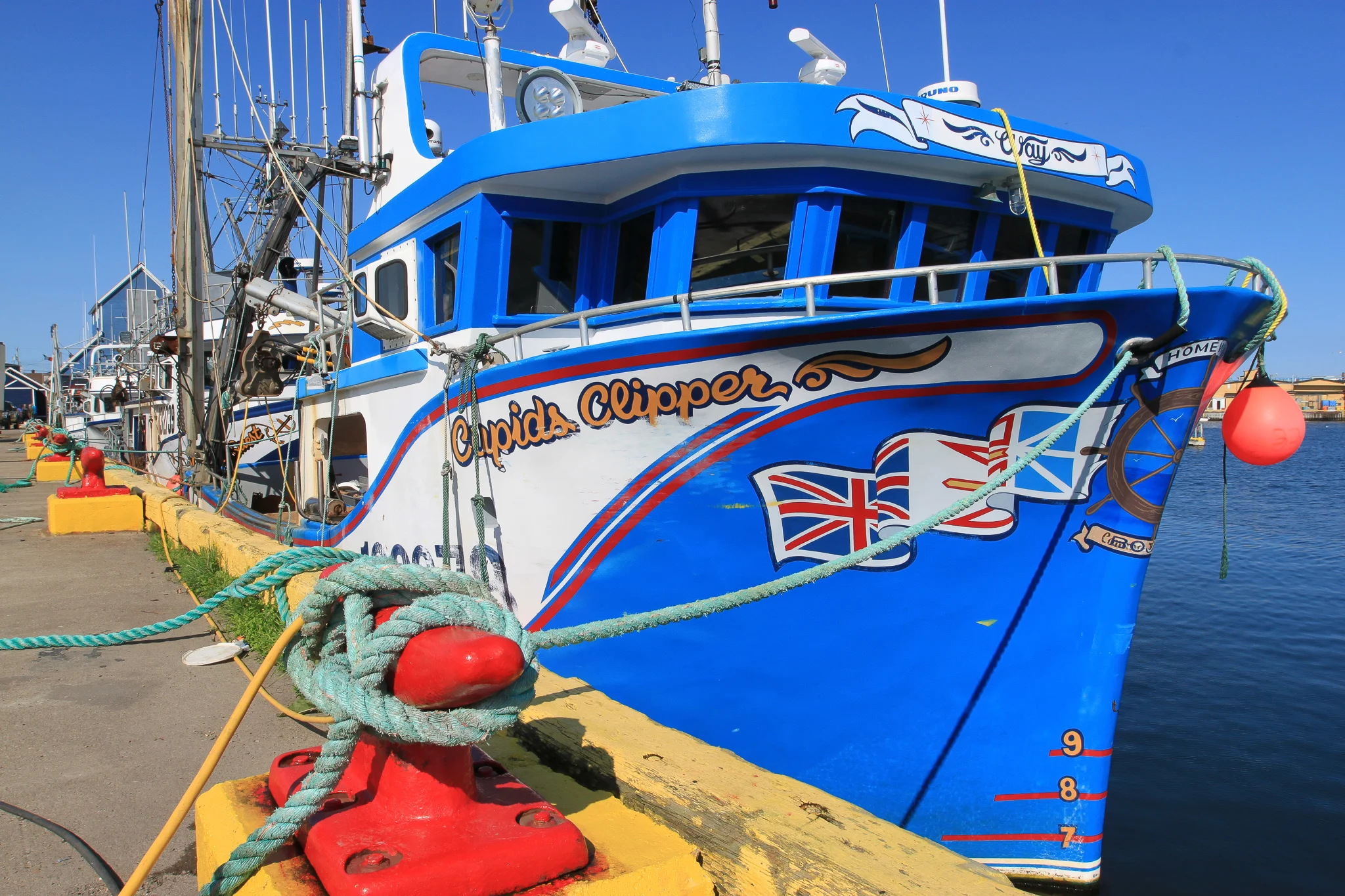 BONAVISTA.