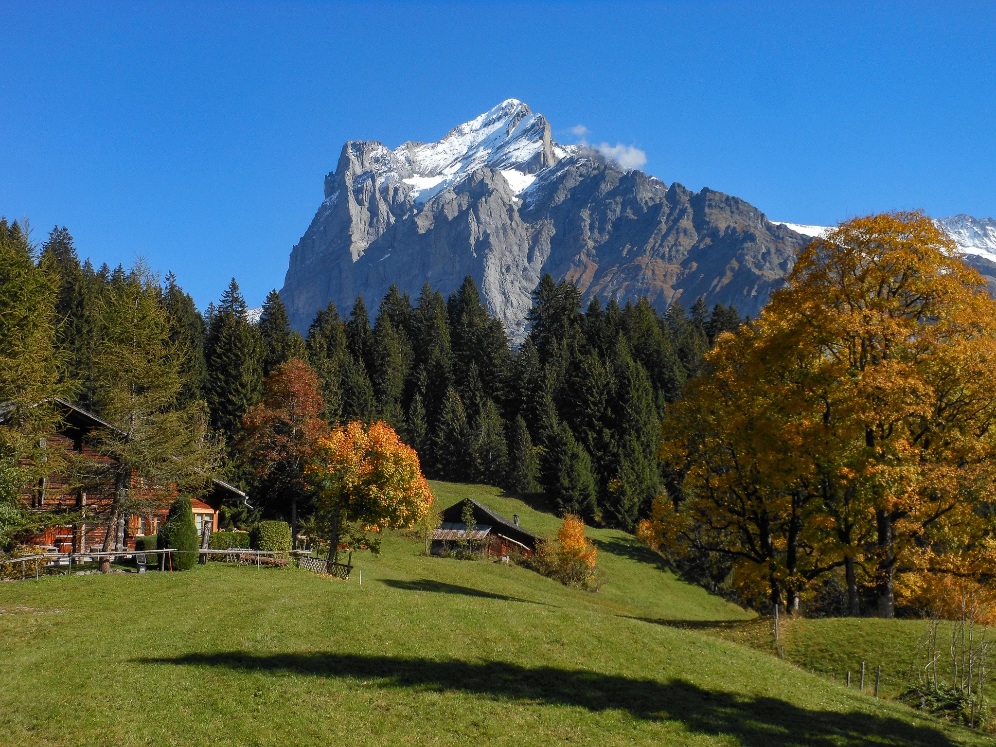 DSCN6212-2.jpg