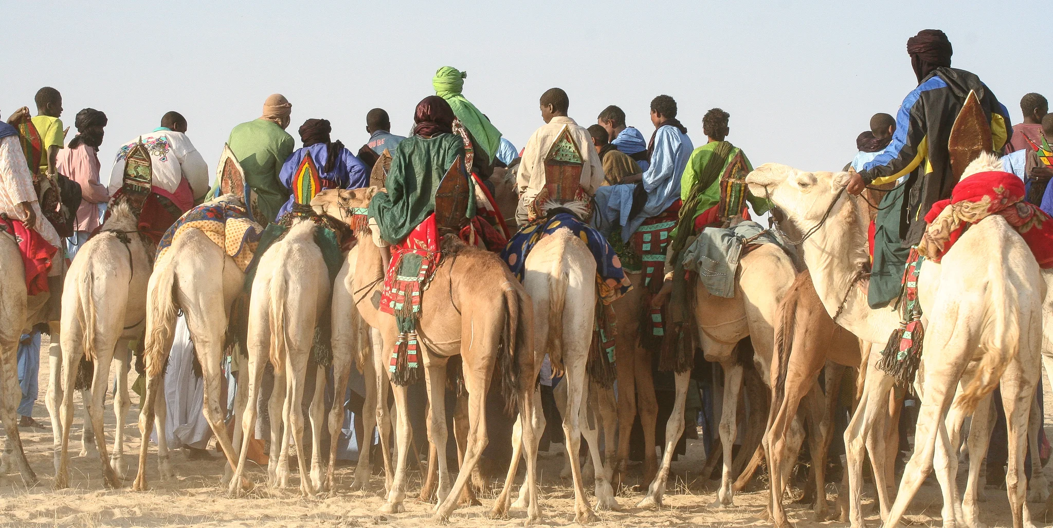 GATHERING FOR THE START OF A CAMEL RACE. VARIOUS EVENTS ARE HELD DURING THE DAY, THE NIGHT BEING RESERVED FOR MUSIC. BY EARLY 2012, THIS WHOLE REGION HAD FALLEN UNDER THE CONTROL OF AQIM (Al-QAEDA IN THE ISLAMIC MAGHREB). AND THE MUSIC FINALLY STOPPED.