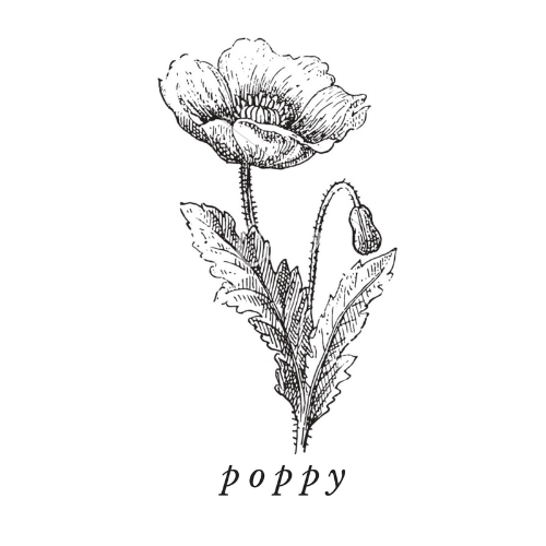 Poppyseed Oil