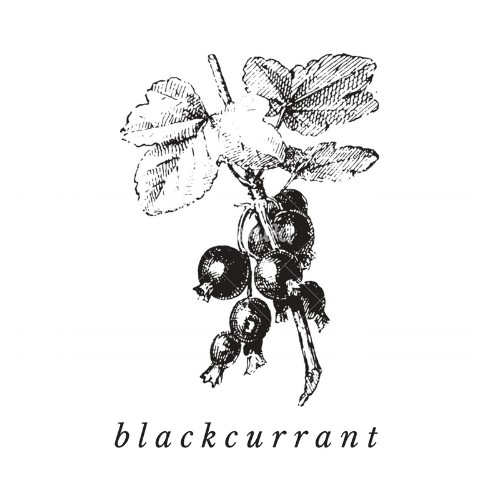 Blackcurrant Seed Oil