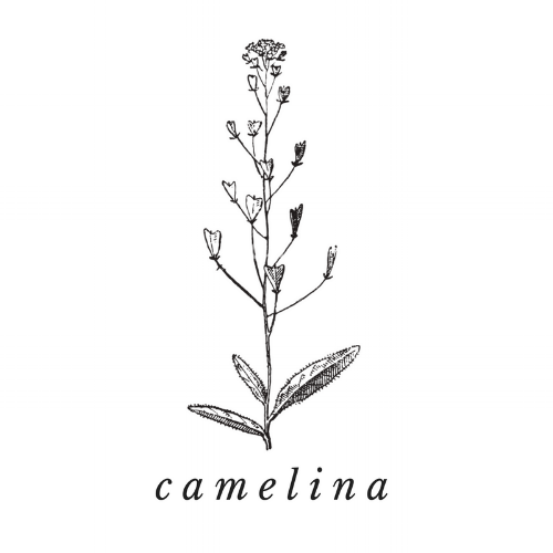 Camelina Oil