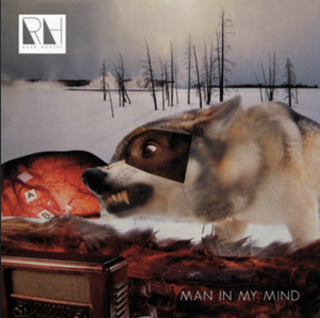 Luke Haines - Man In My Mind EP.png