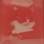 GUILLEMOTS i-saw-such-things-in-my-sleep-vinyl-ten-inch.jpg