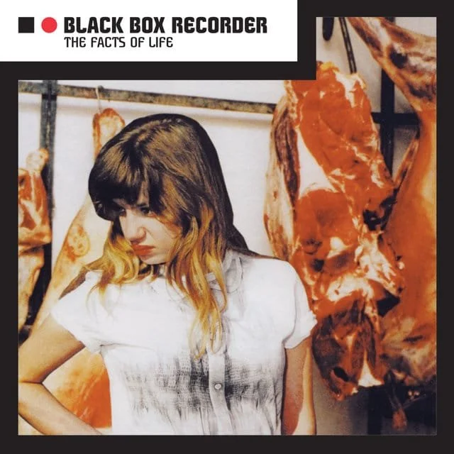Black-Box-Recorder- The-Facts-Of-Life.jpg