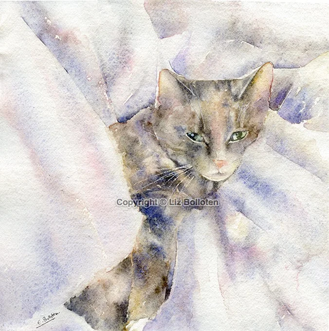 No Place Like Home by Liz Bolloten