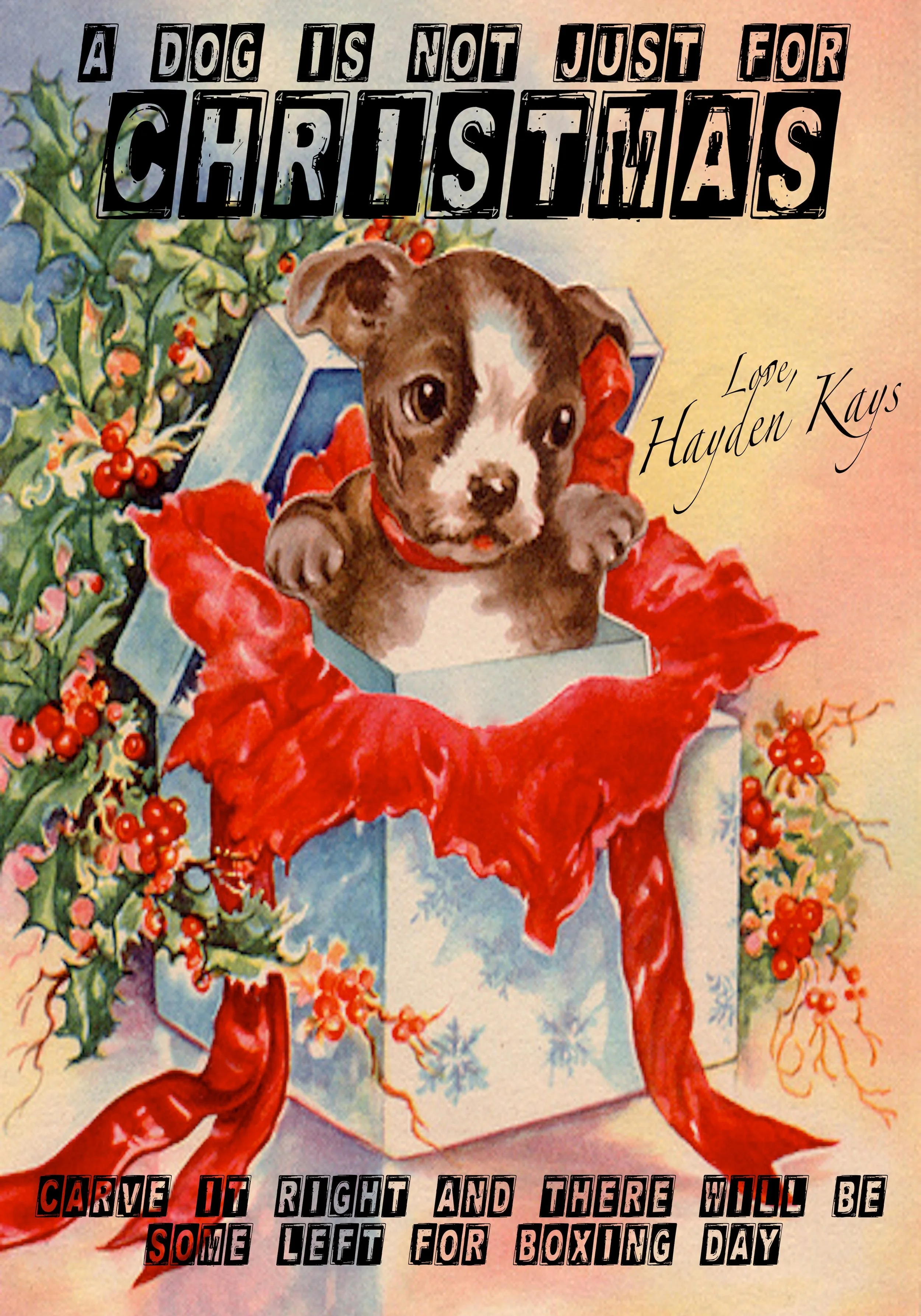 Dog's Dinner limited edtion print for Art on a Postcard - Hayden Kays.jpg