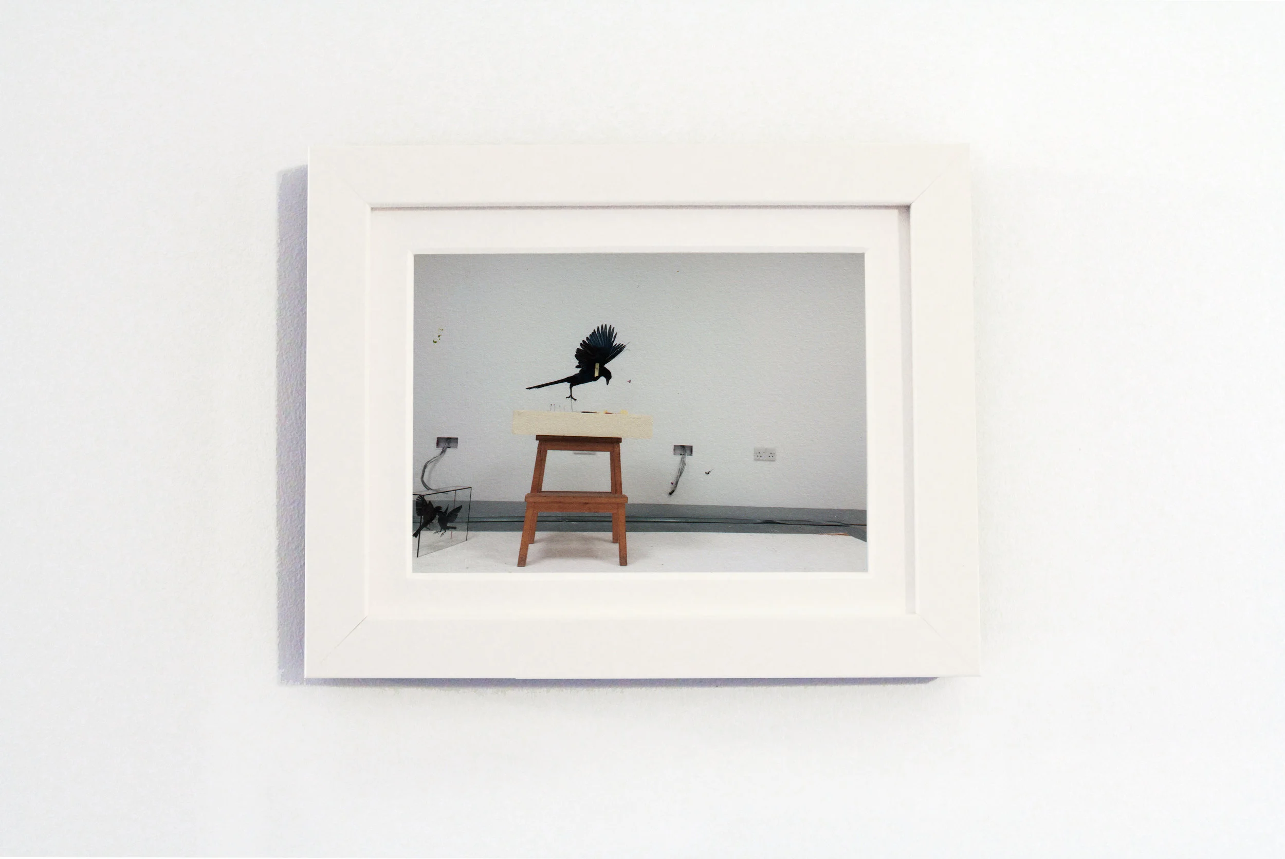 White Untitled.jpg