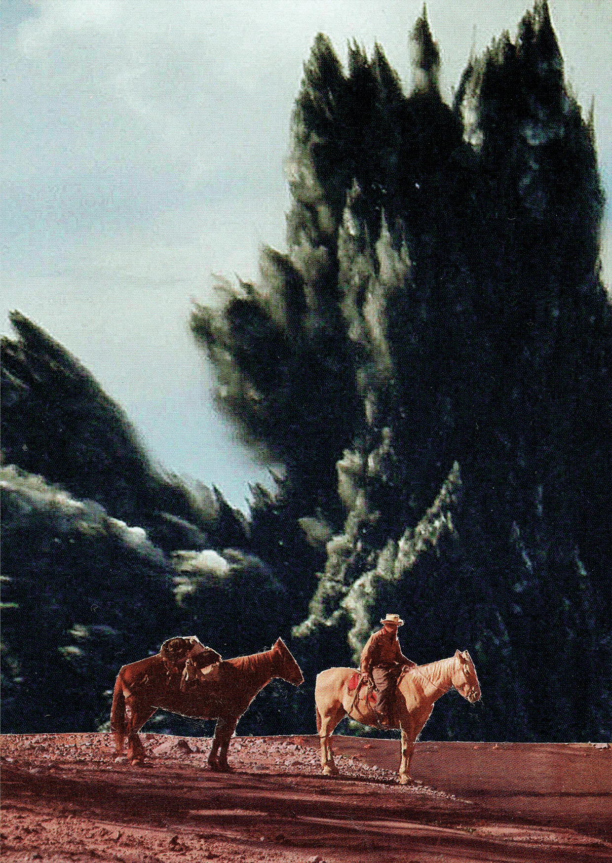 Steven Quinn - Lone Horseman.jpg