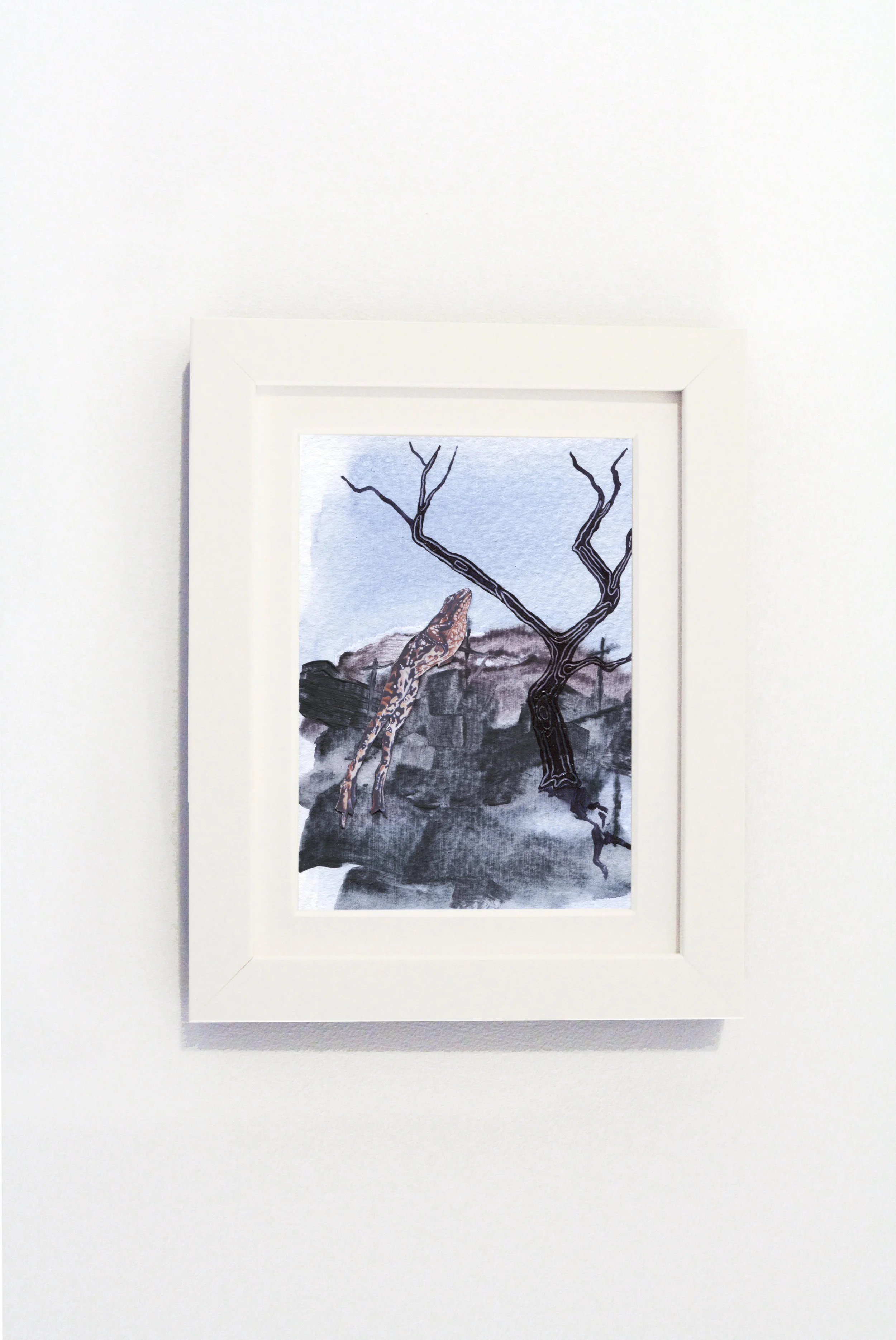 Dark Frogs White Frame.jpg