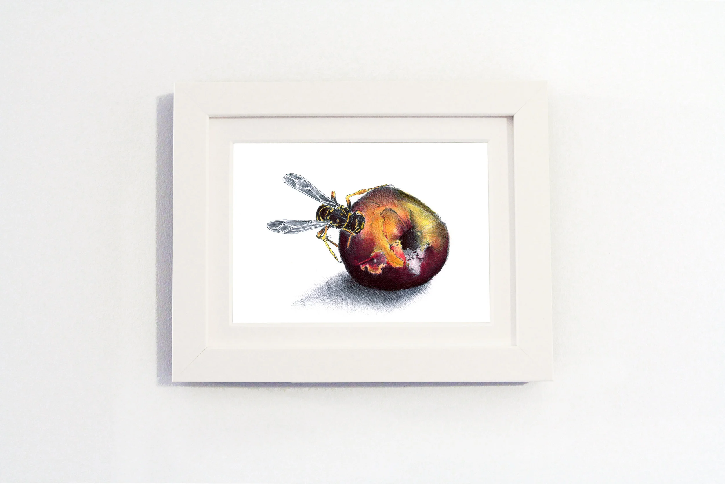 Nature Peach White frame.jpg